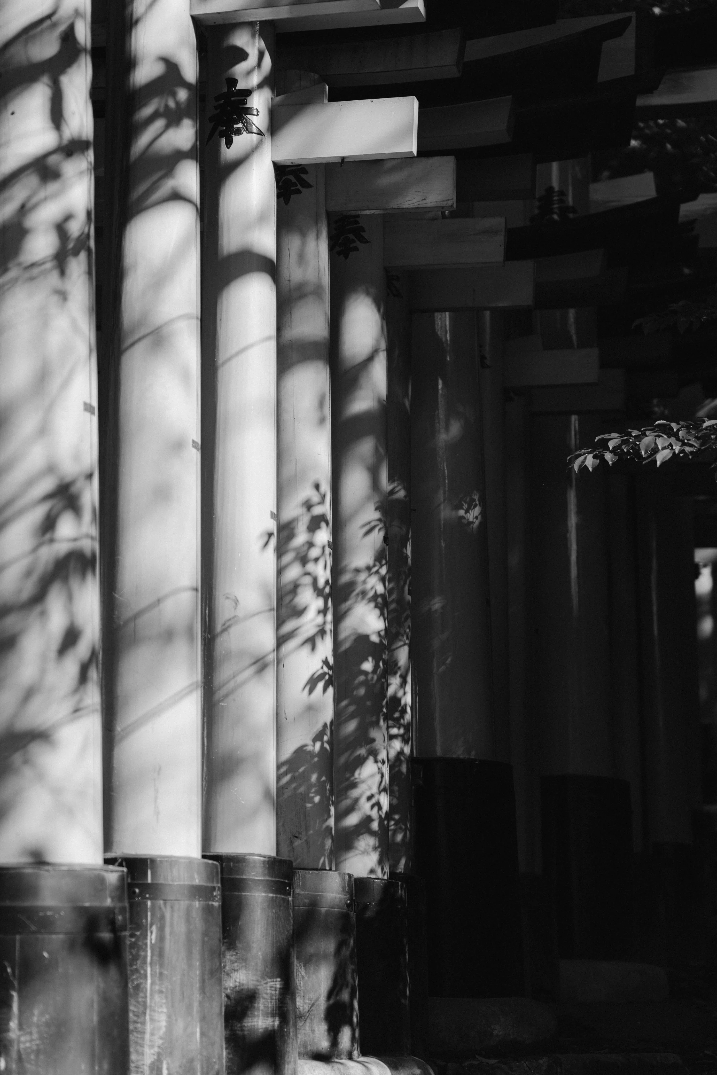 20260324-untitled shoot158.jpg