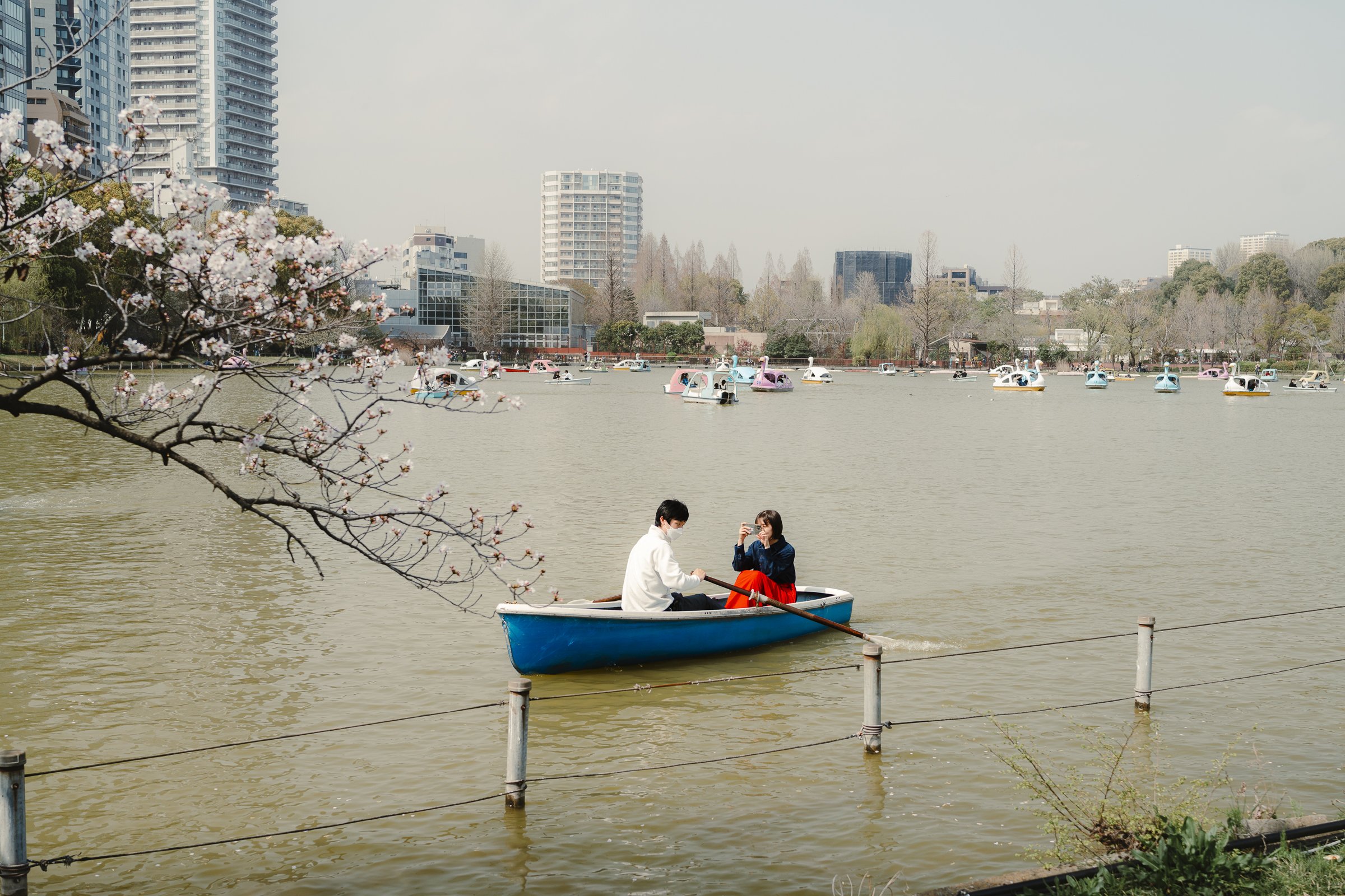 japan-24.jpg