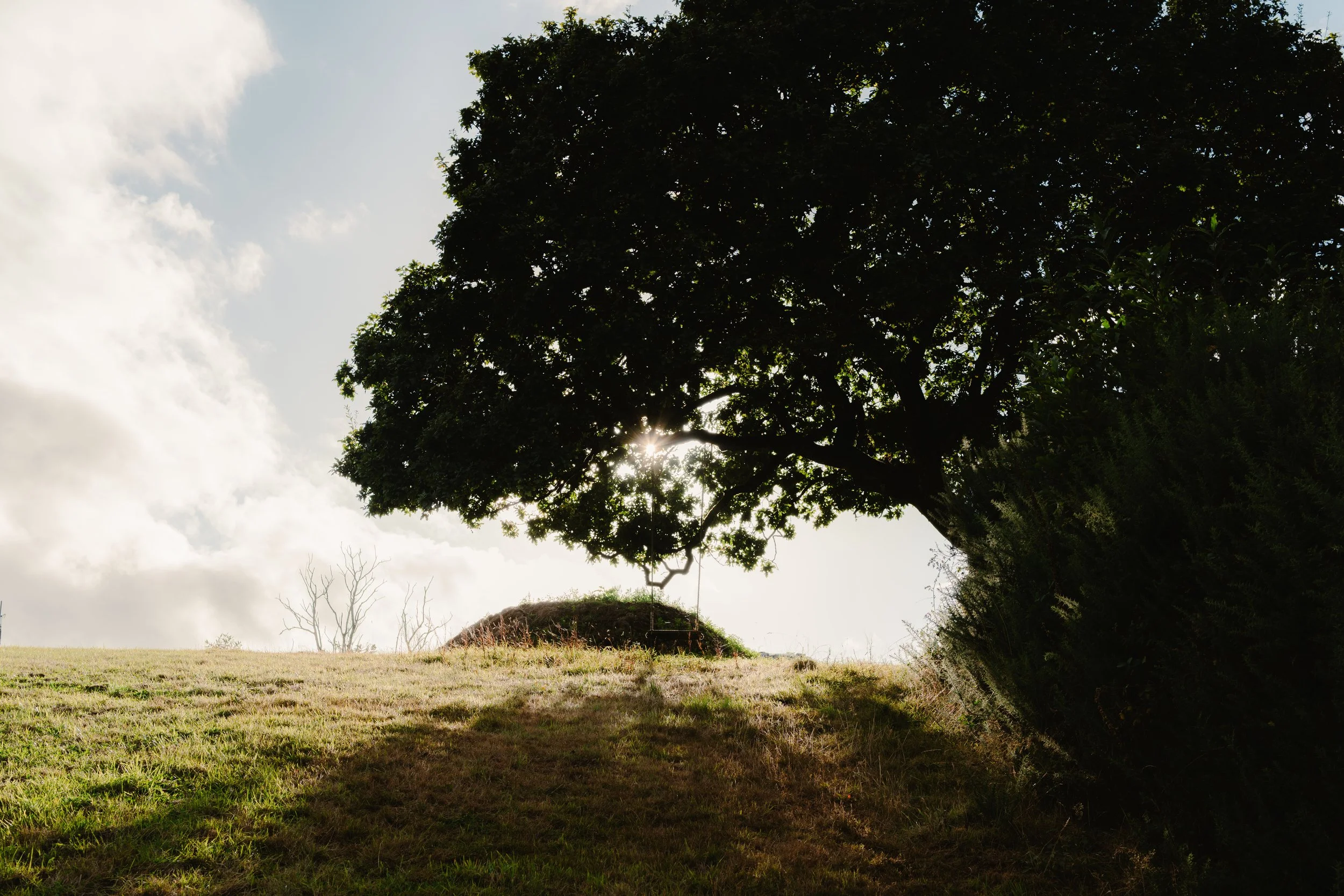 devon-14.jpg