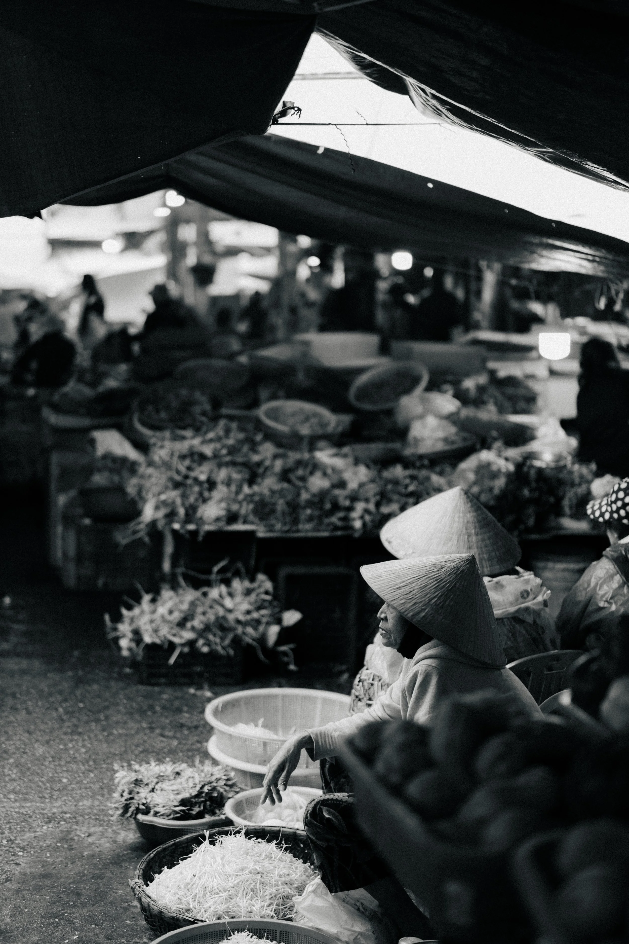 Hoian-1-5.jpg