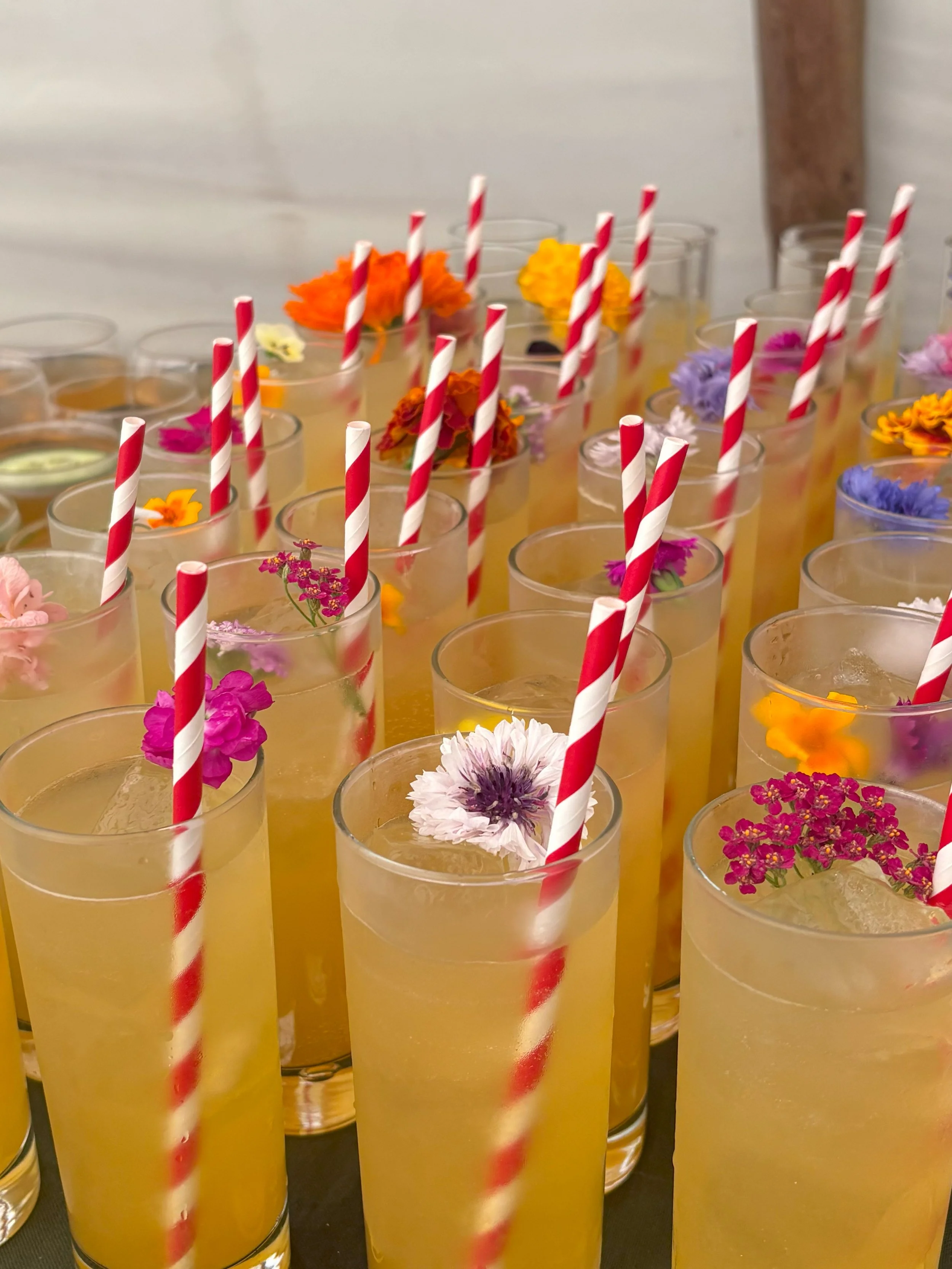 Drinks.jpg