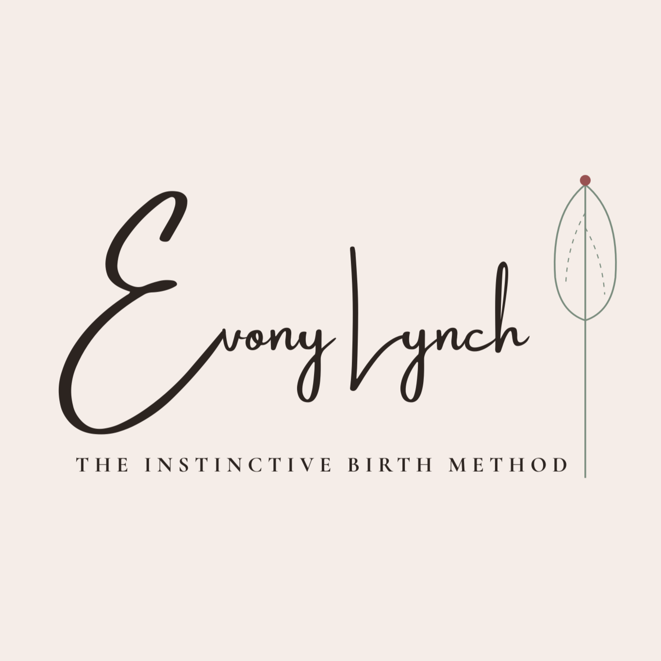 The Holistic Doula School