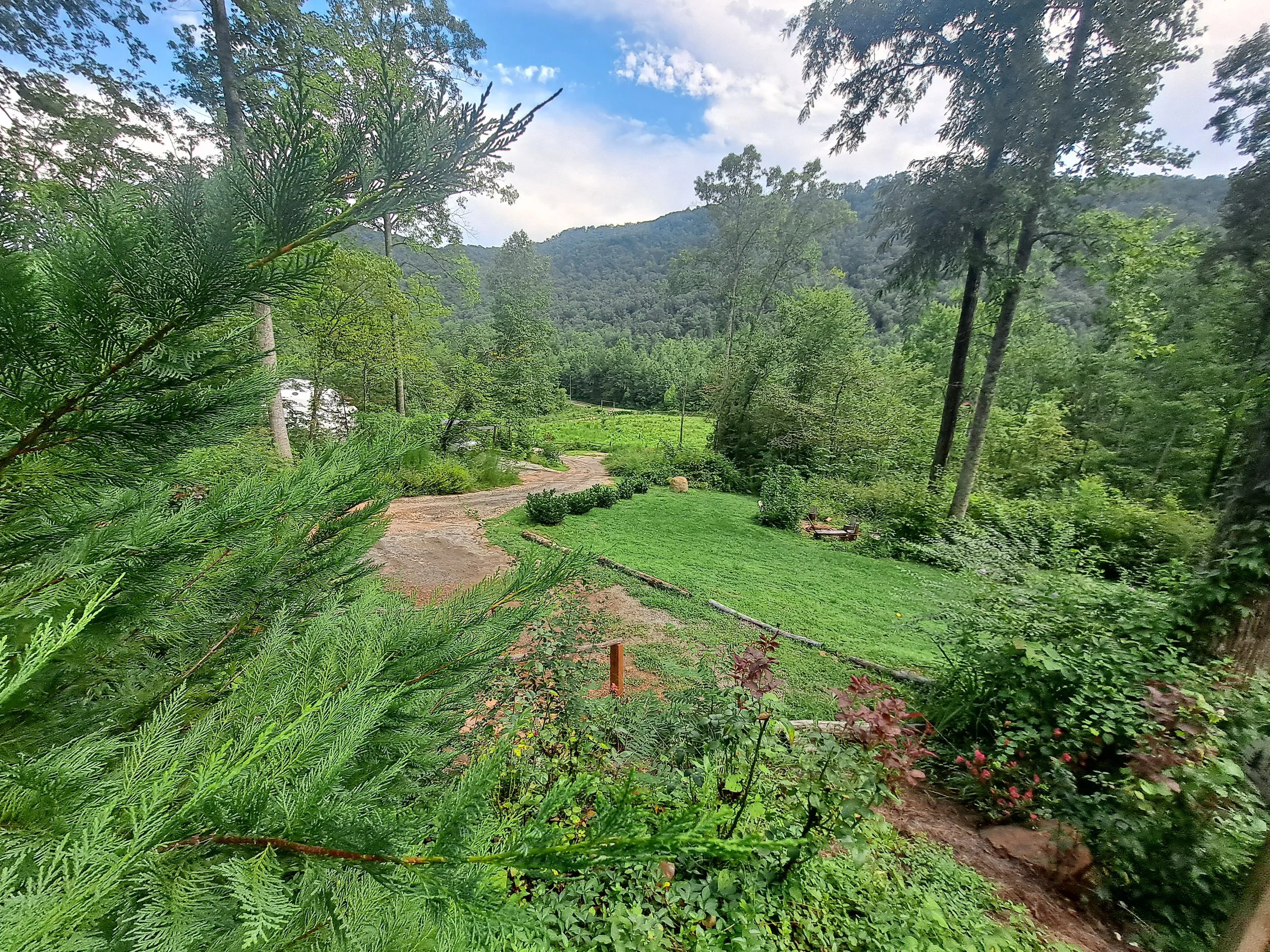 A lush green yard with a gravel path surrounded by trees and bushes, with a mountain in the background under a partly cloudy sky.