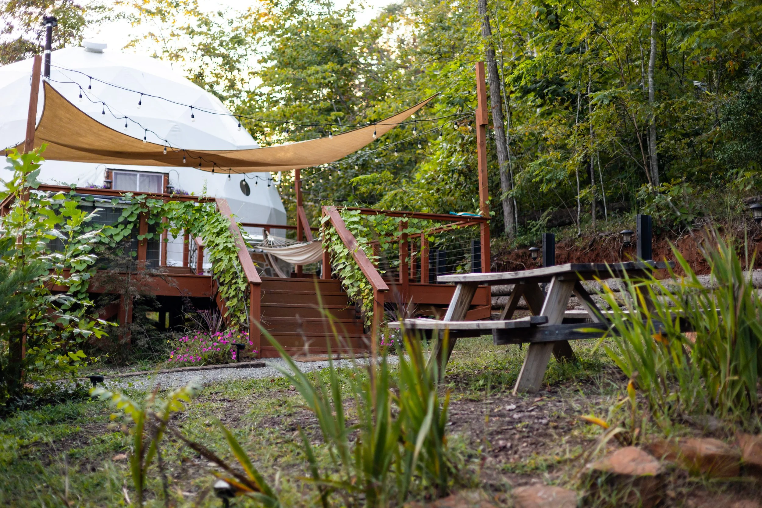 A backyard with a wooden deck, vine-covered stairs, two wooden benches, and an umbrella, surrounded by trees and plants.