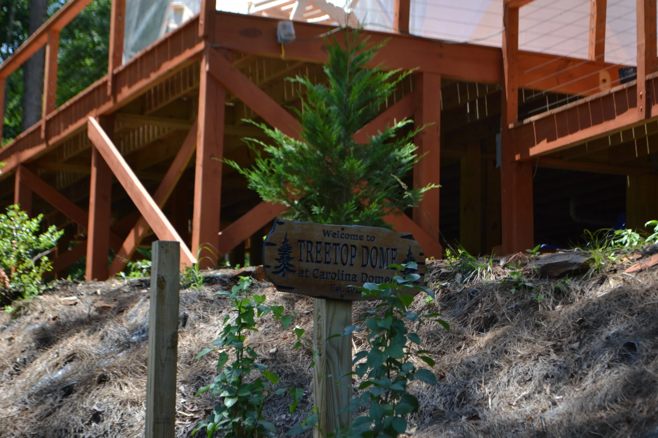 A small pine tree next to a wooden sign that reads 'Welcome to Treetop Dome at Carolina Dome Est. 2021,' with a wooden deck structure in the background surrounded by trees.