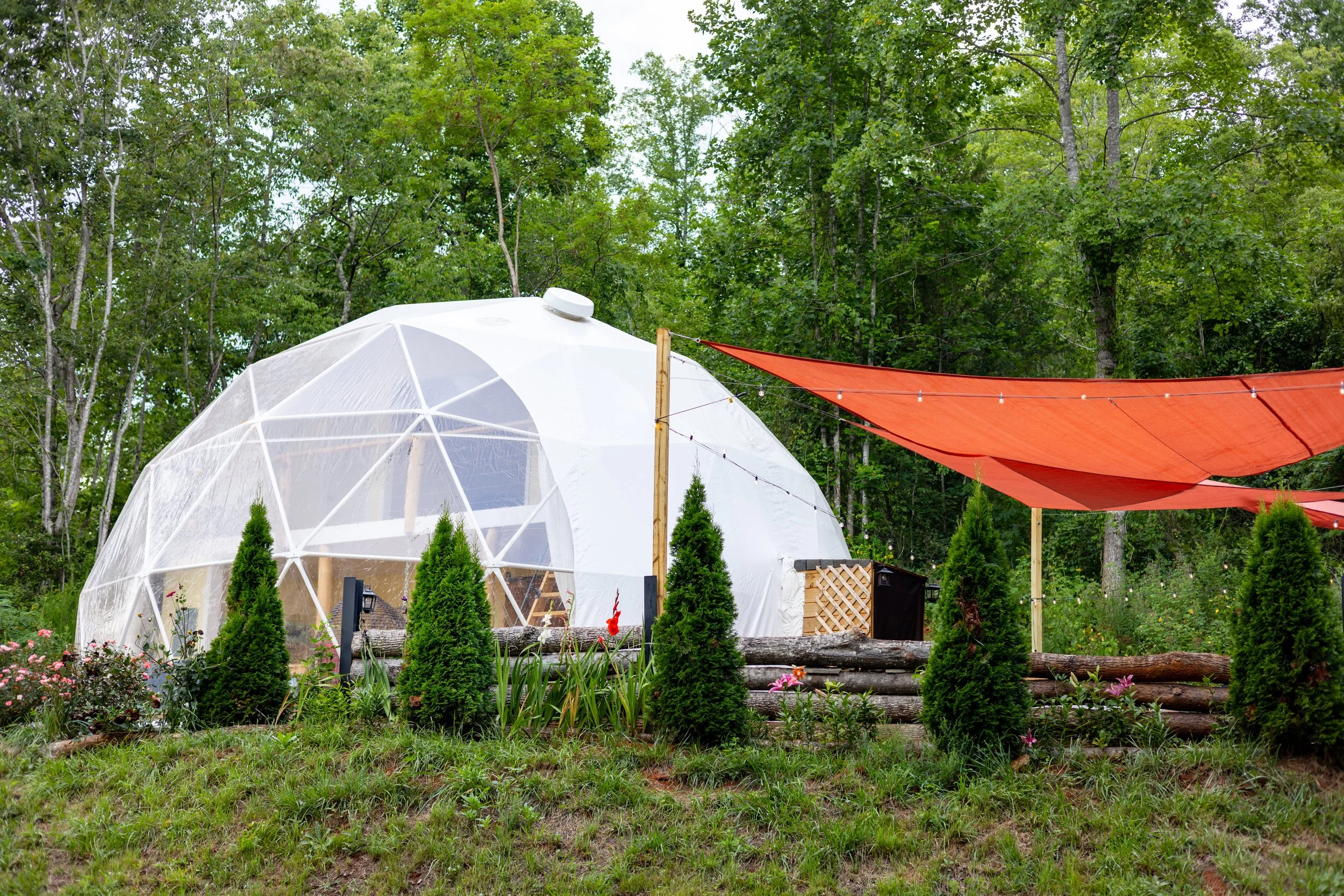 A geodesic dome greenhouse with transparent panels, surrounded by small green trees and pink flowers, with a red shade sail overhead in a wooded outdoor area.