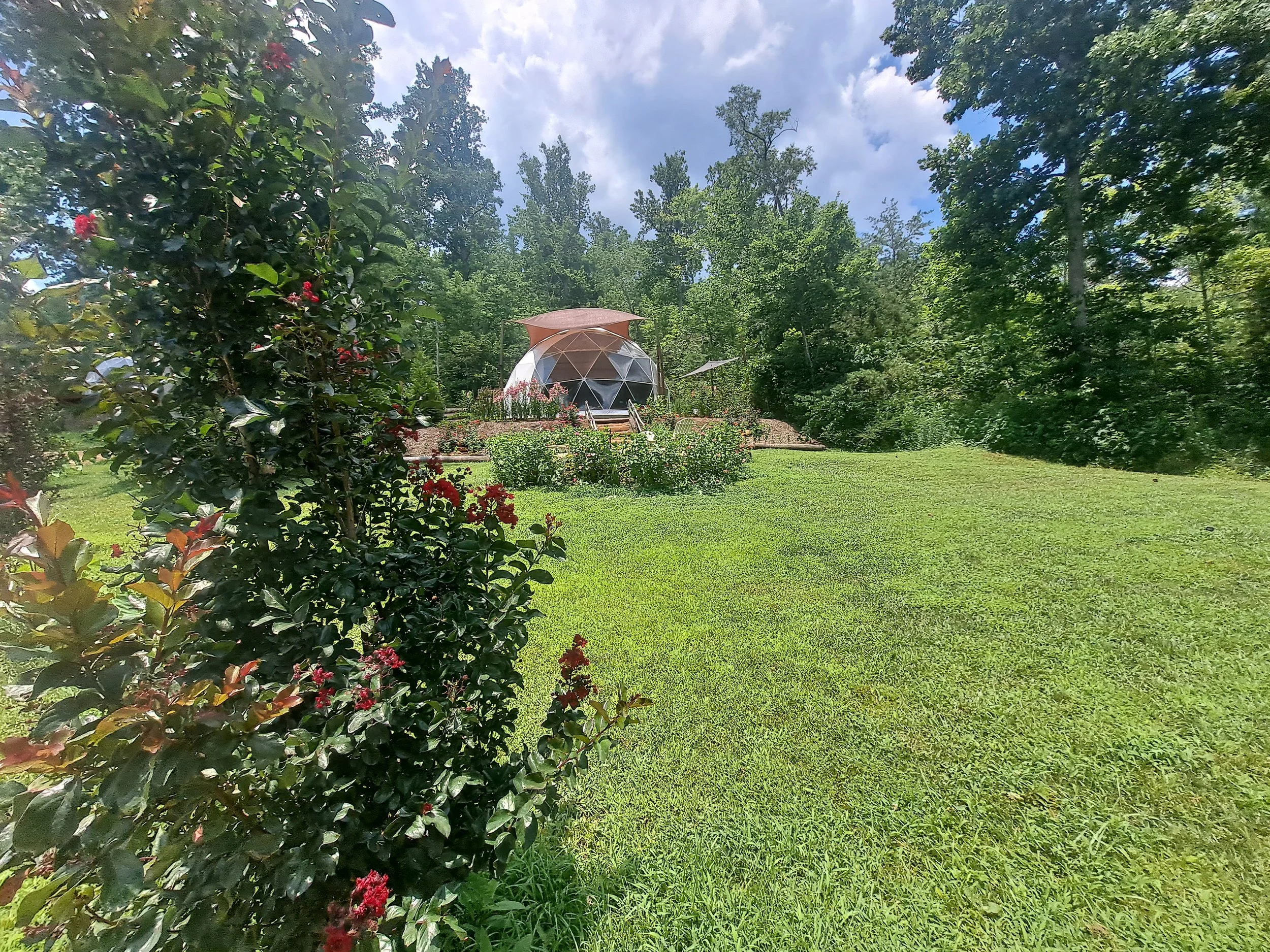 Treetops Dome at Carolina Domes in Union Mills, North Carolina, surrounded by woodland and wildflowers in the evening sun.