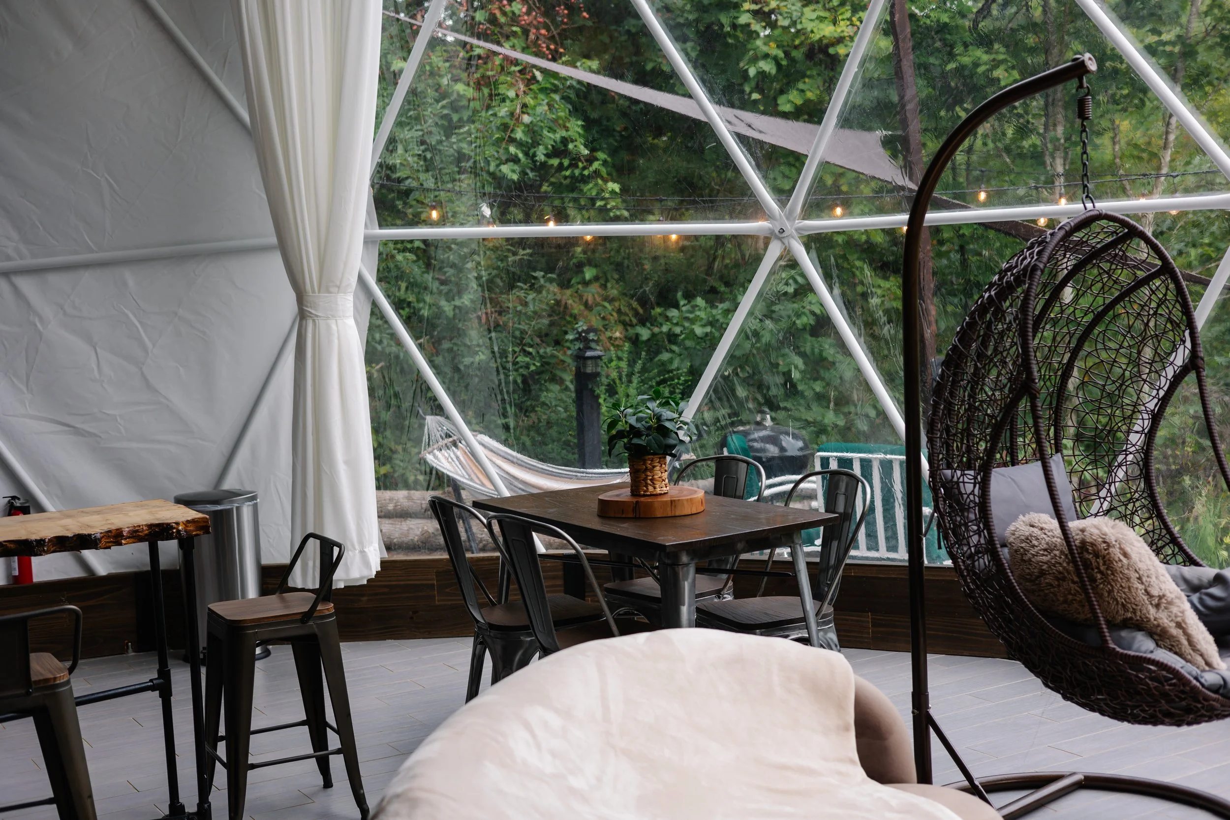 Interior of a geodesic dome with a view of a forest outside. The space has a wooden table with a potted plant, black chairs, a hanging egg chair with cushions, and a hammock outside visible through large glass panels.