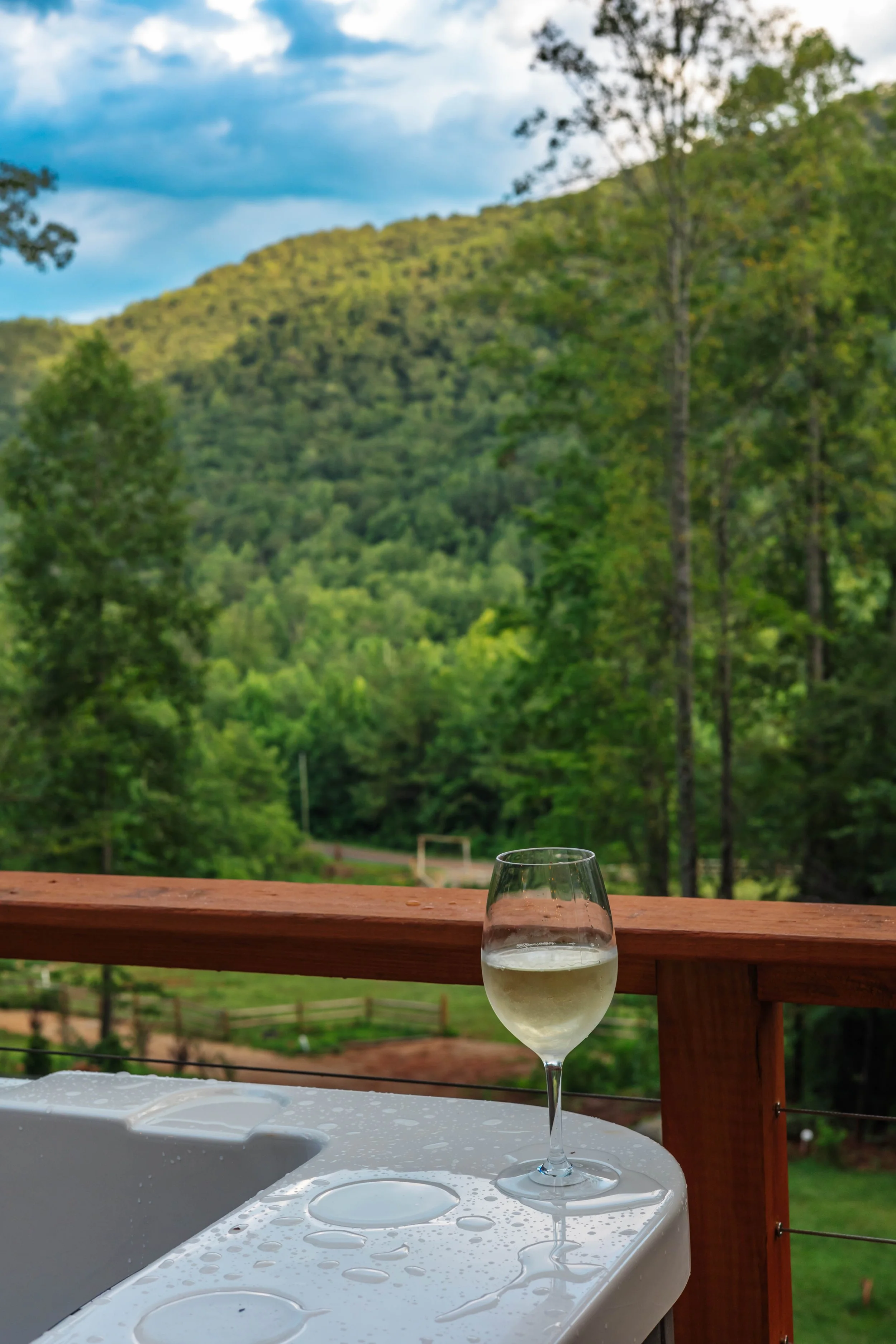 A glass of white wine on a wet outdoor table with a scenic green mountain view in the background.