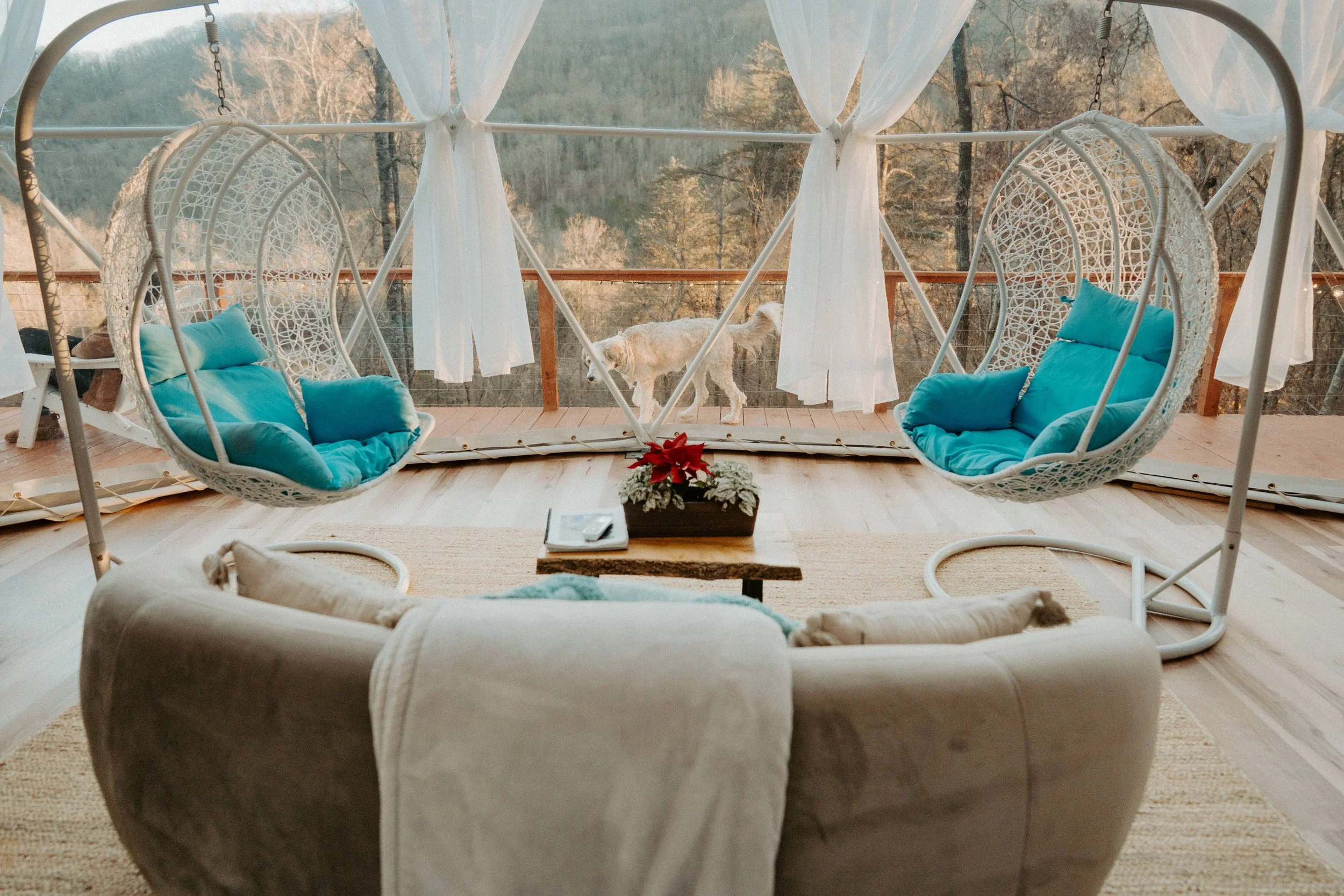 Living room with a beige couch, a wooden coffee table with a poinsettia decoration, and two hanging rattan chairs with teal cushions. In the background, a screened porch with white curtains and a dog walking on the deck, overlooking a wooded landscap