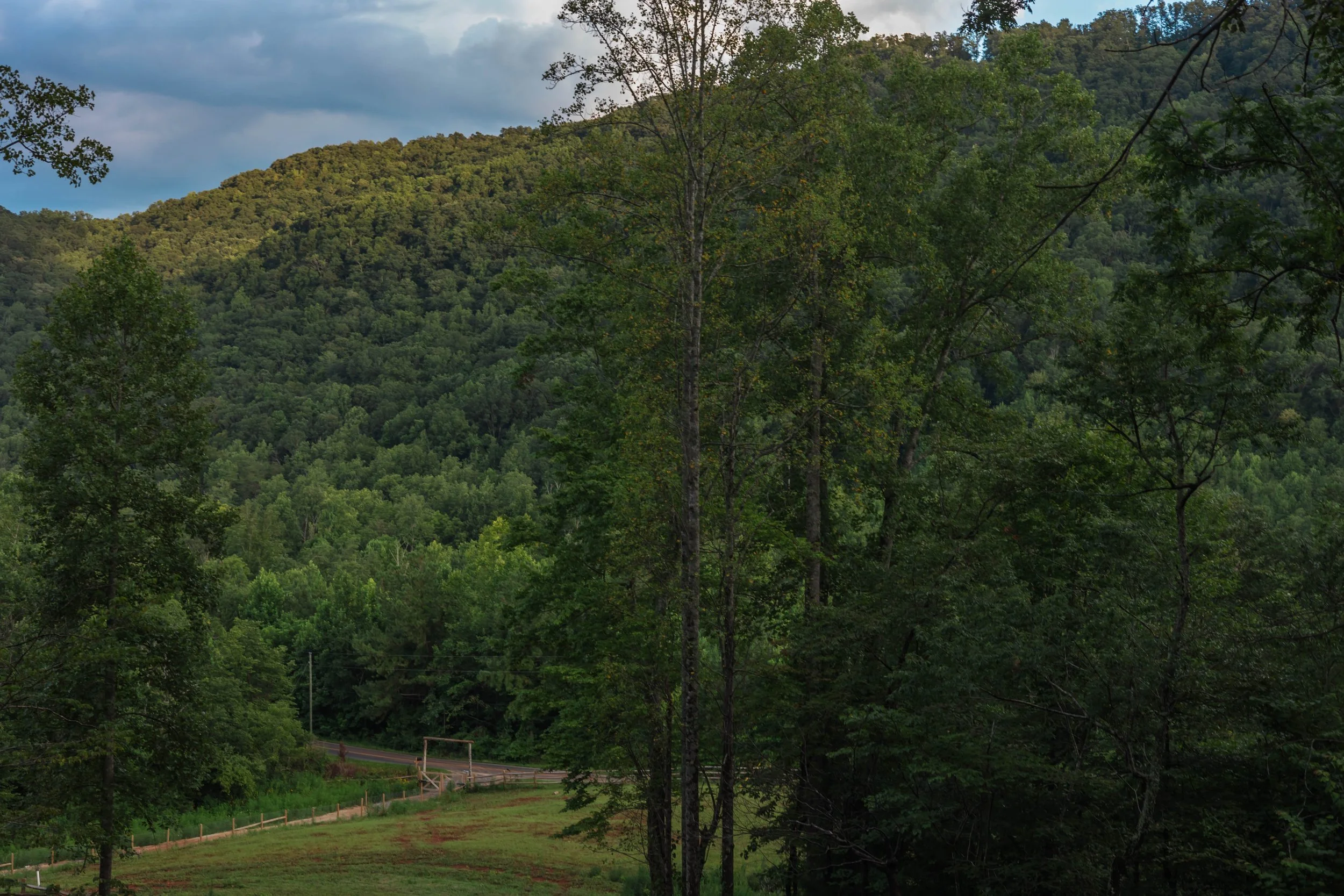 View of a lush green forest and mountain with a cloudy sky, with a small road and wooden fence in the foreground.