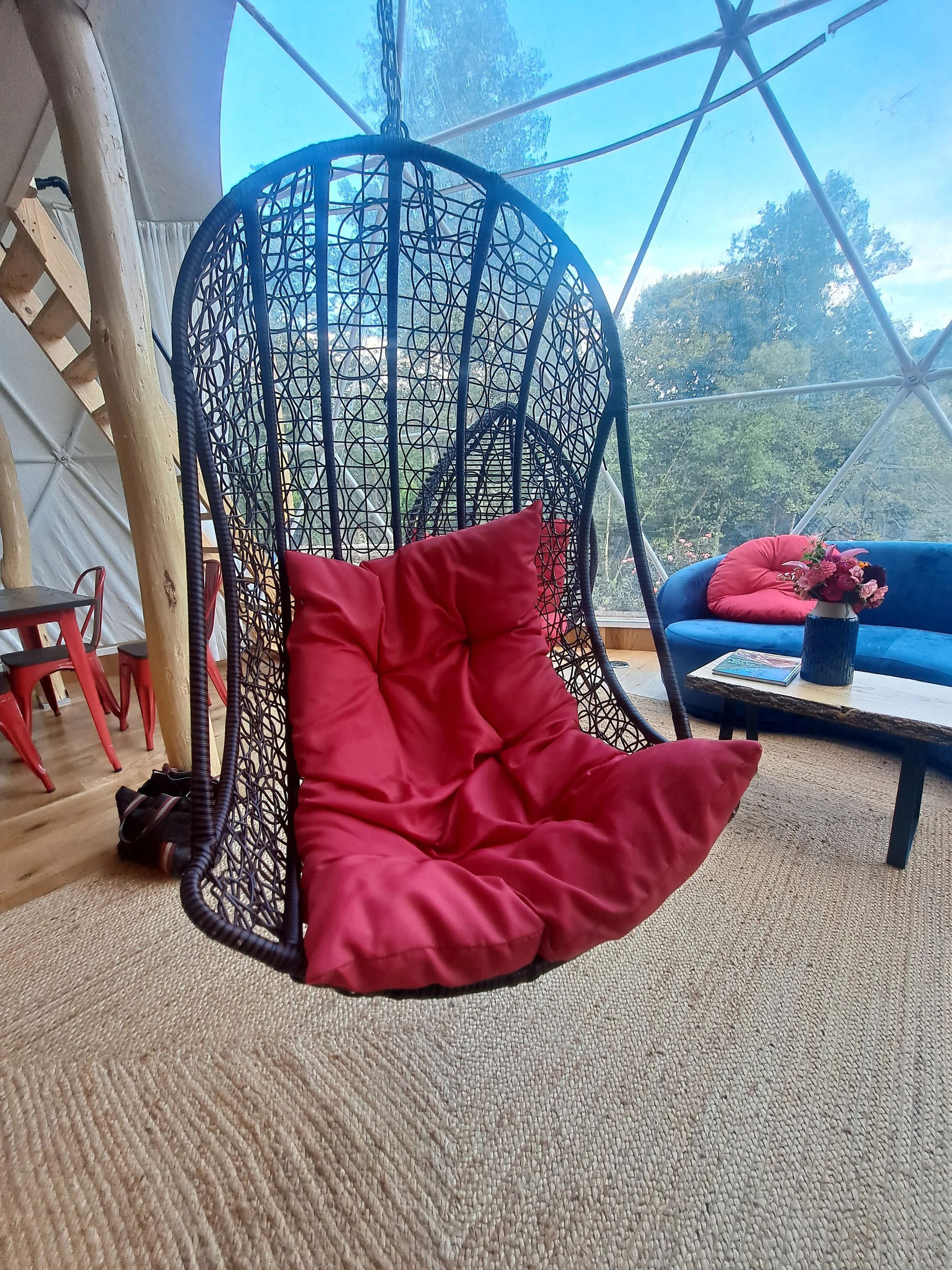A hanging egg chair with red cushions in a cozy indoor space with a glass dome ceiling, a sofa with pink and blue cushions, a wooden coffee table with a flower vase, and a view of trees outside.