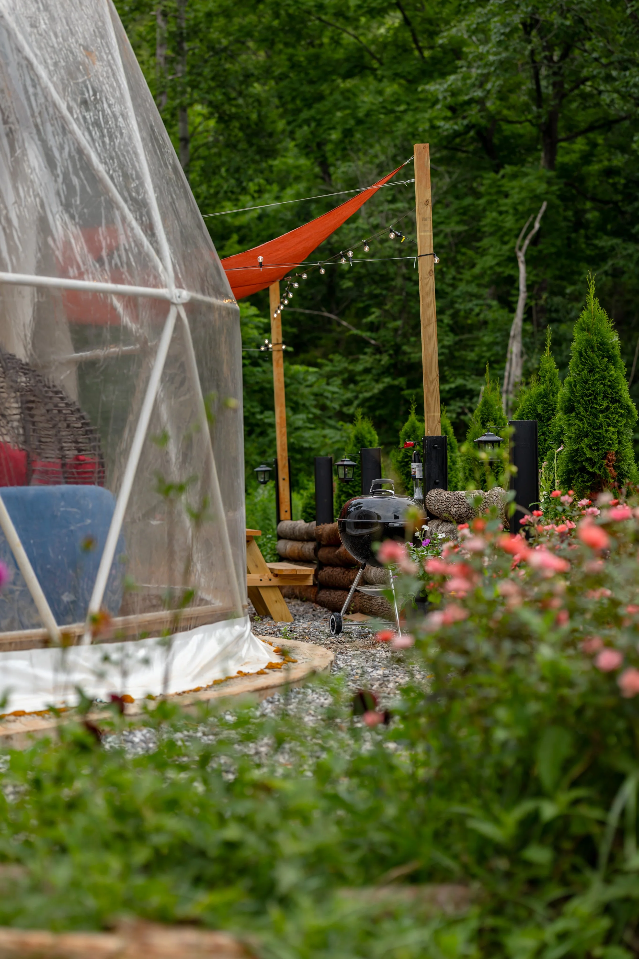 Backyard garden with a greenhouse, string lights, a charcoal grill, and a seating area, surrounded by trees and flowering bushes.
