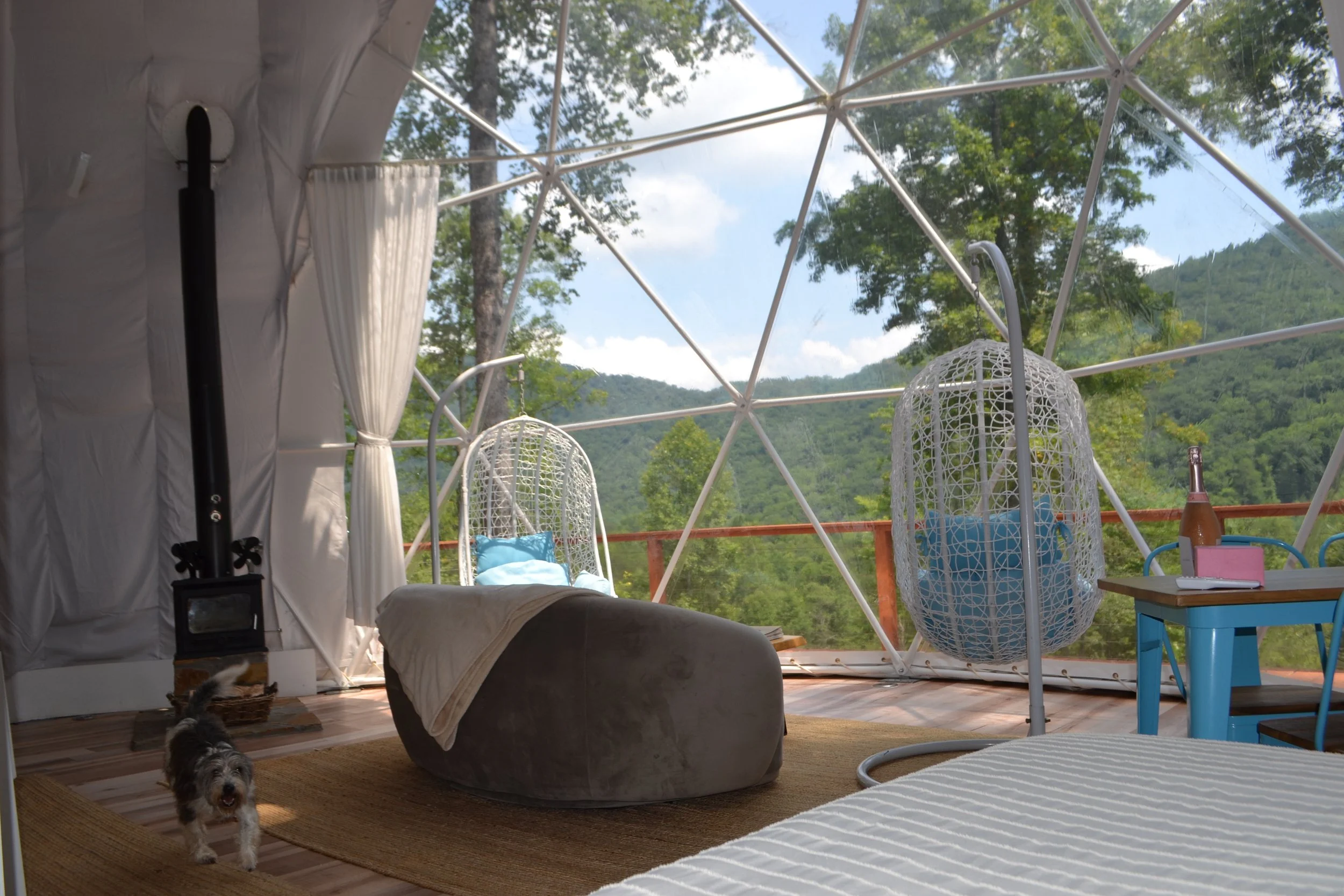 Cozy glamping tent interior with a small dog, hanging egg chairs, a wood stove, and scenic mountain view.