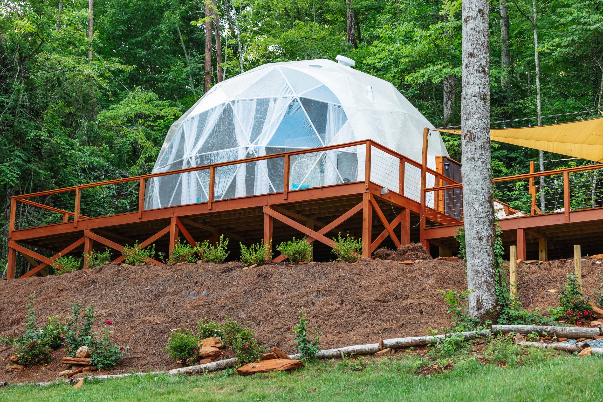 Glass dome-shaped tiny house on a wooden deck in a forested area with trees and shrubbery.
