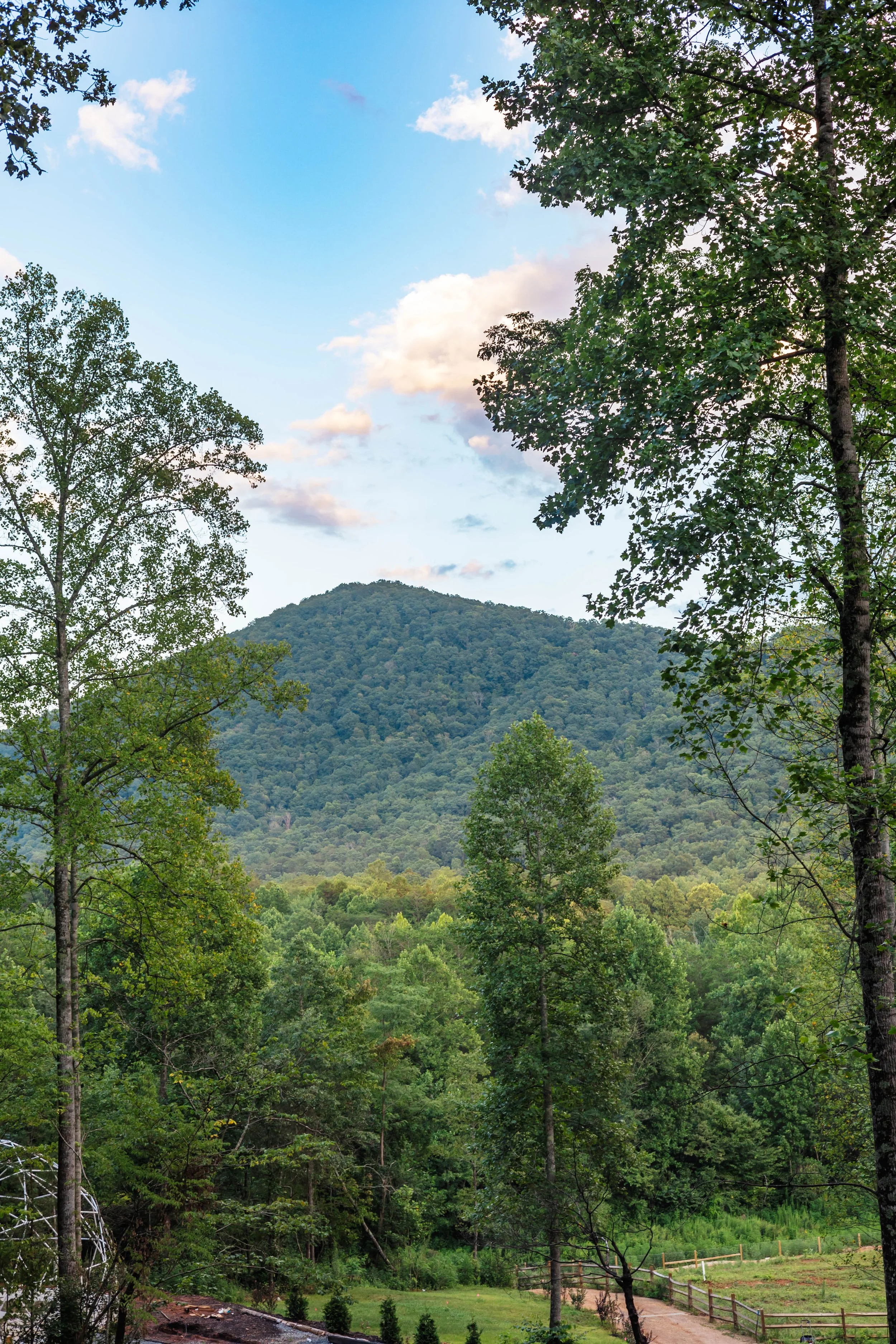 Scenic view of a lush green mountain surrounded by trees with a partly cloudy sky.