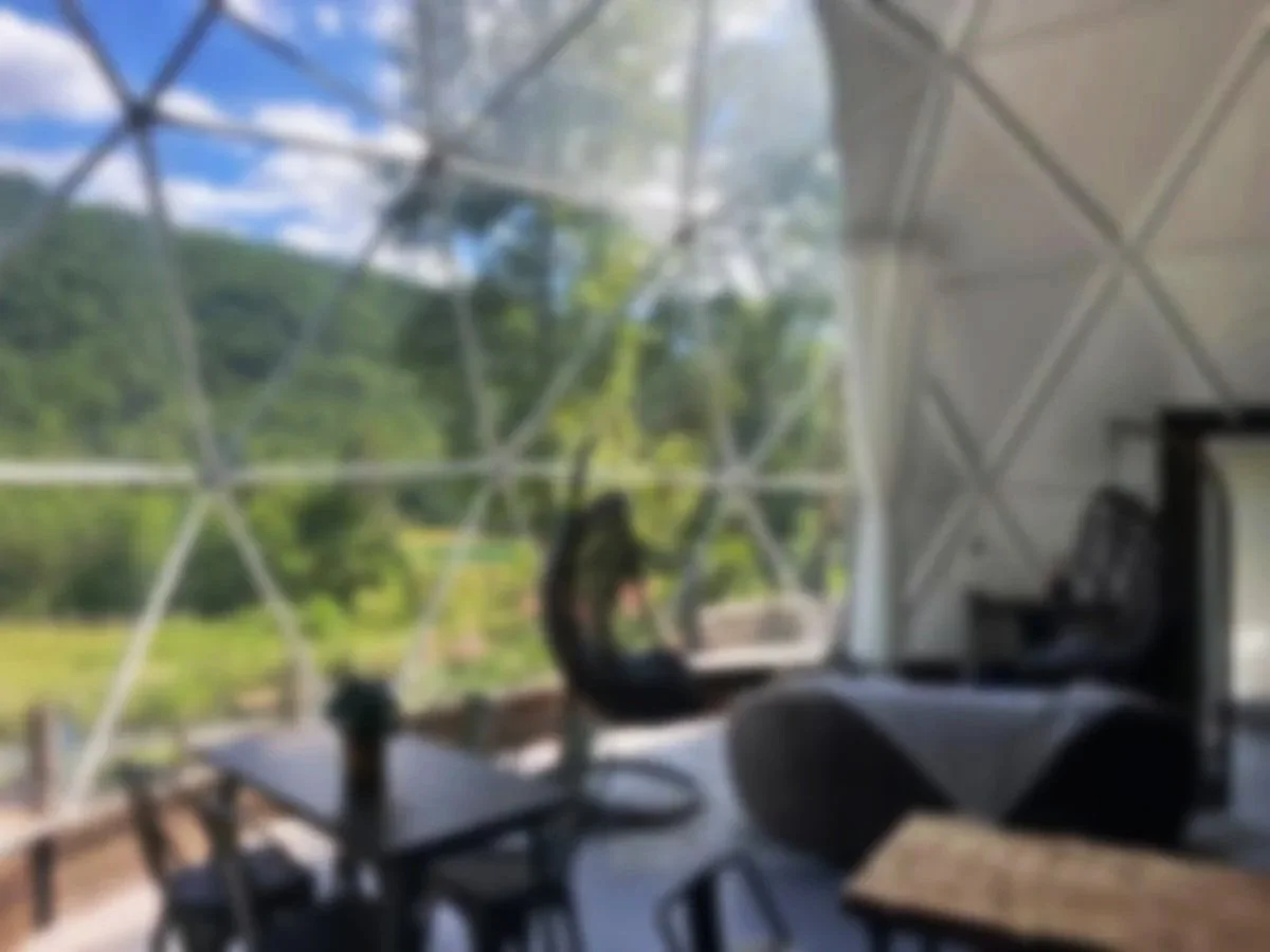 Blurred view of a modern room with large glass window showing trees and blue sky outside, interior has a couch, table, and bookshelf.