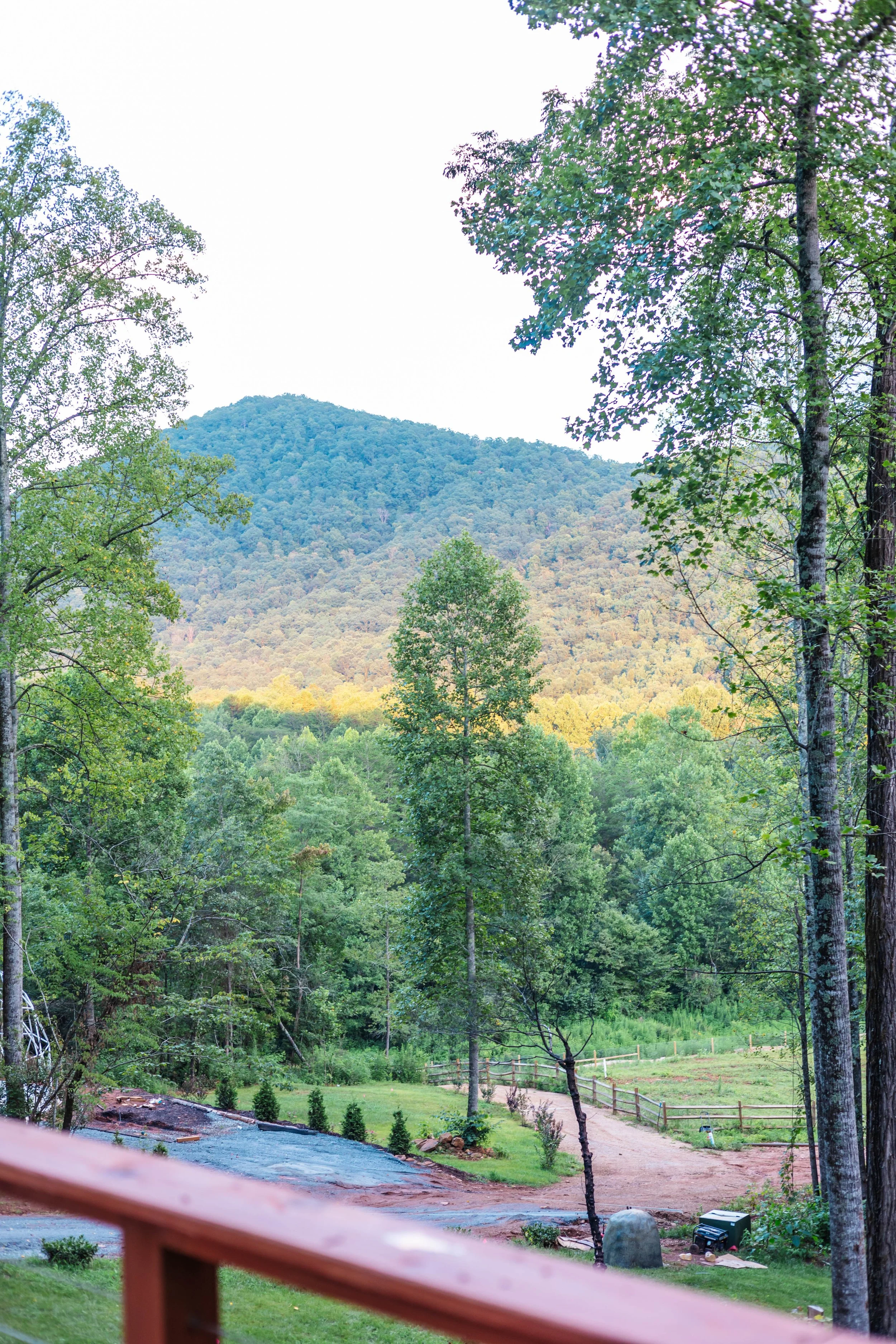Scenic view of a lush green forest with a mountain in the background, a dirt pathway, and a small fenced area, seen from a wooden deck or porch.