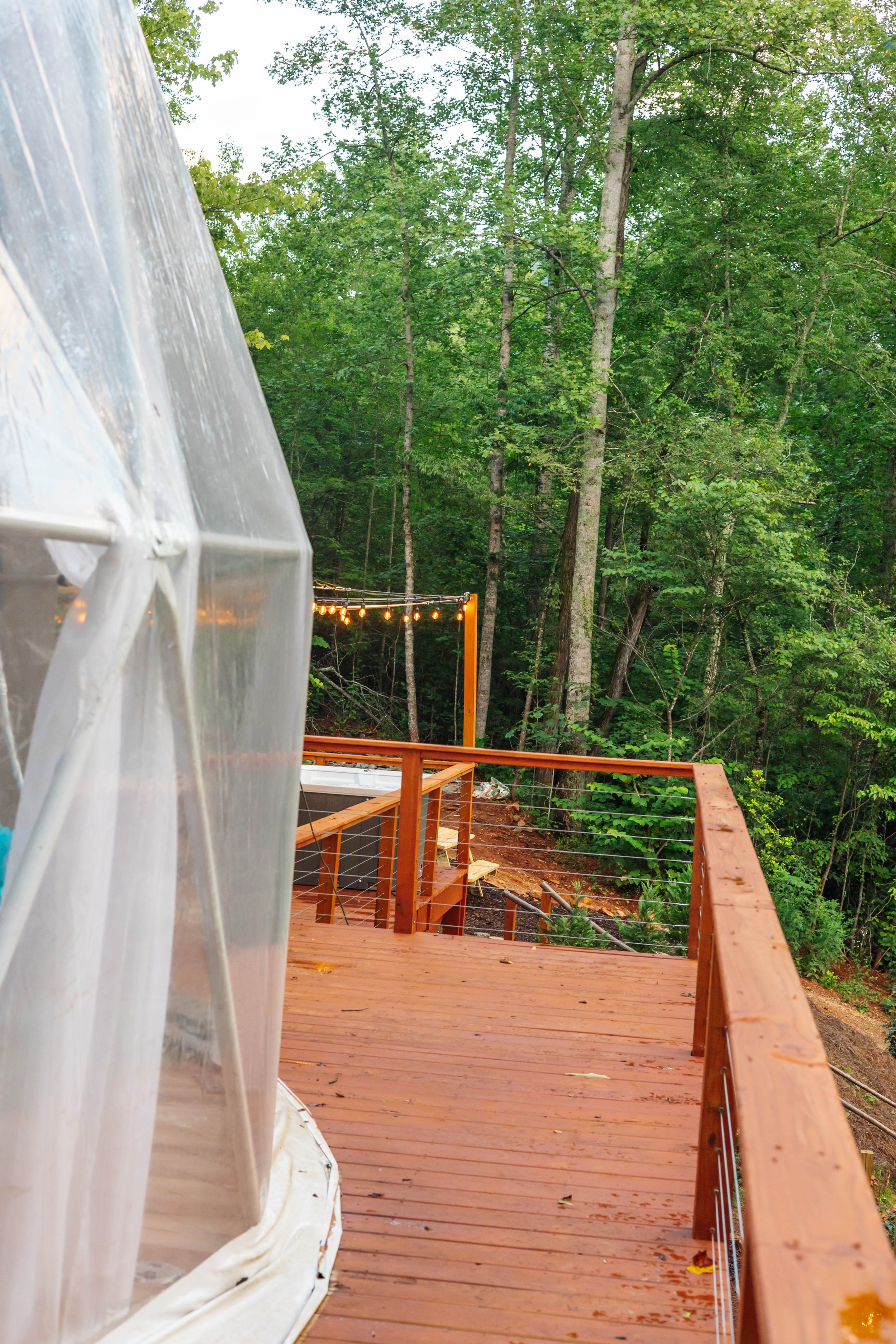 Wooden deck with safety railings overlooking a dense green forest, with string lights hanging above.