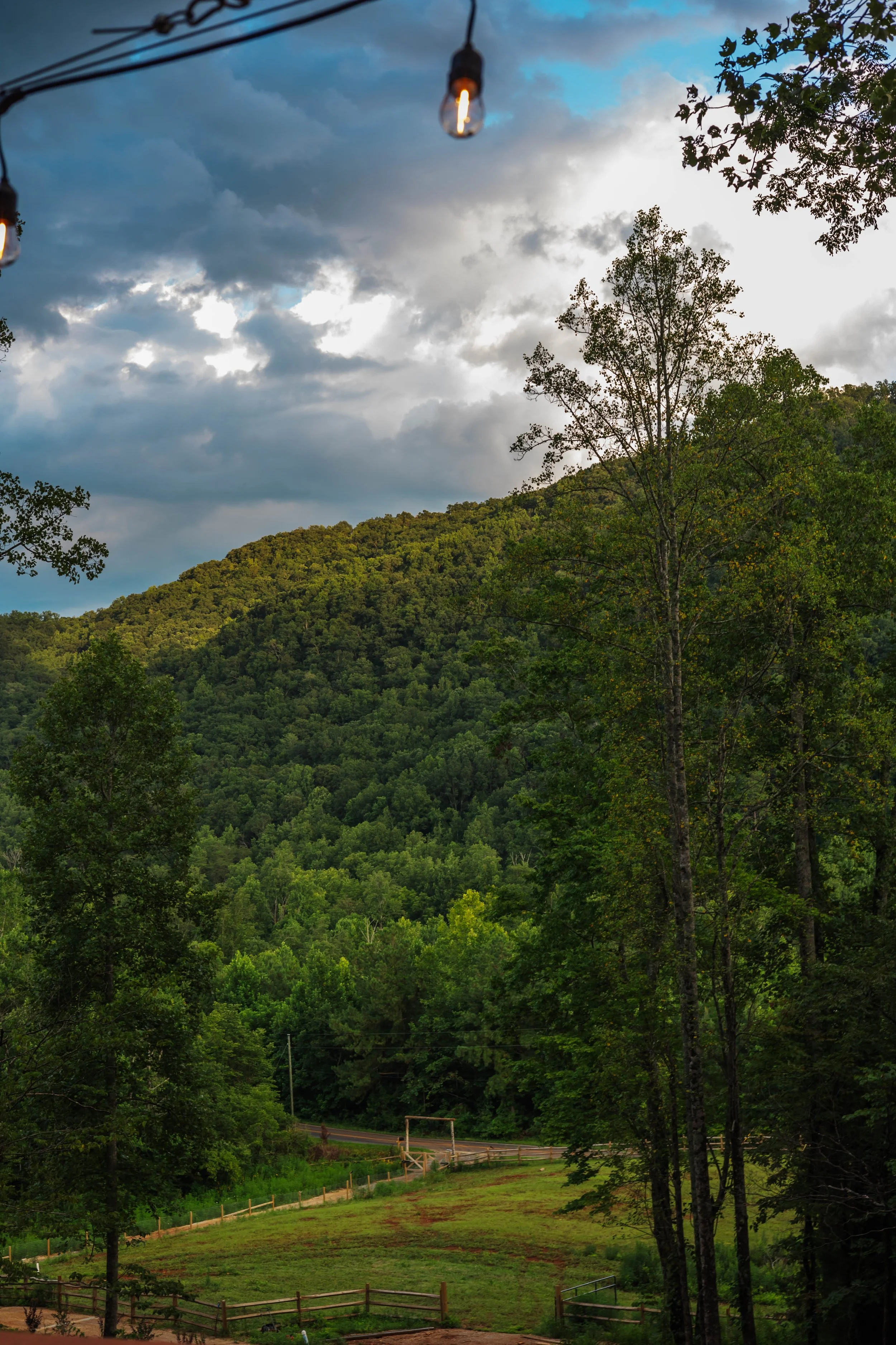 Scene of a lush green mountain with trees, cloudy sky, and string lights hanging in the foreground.