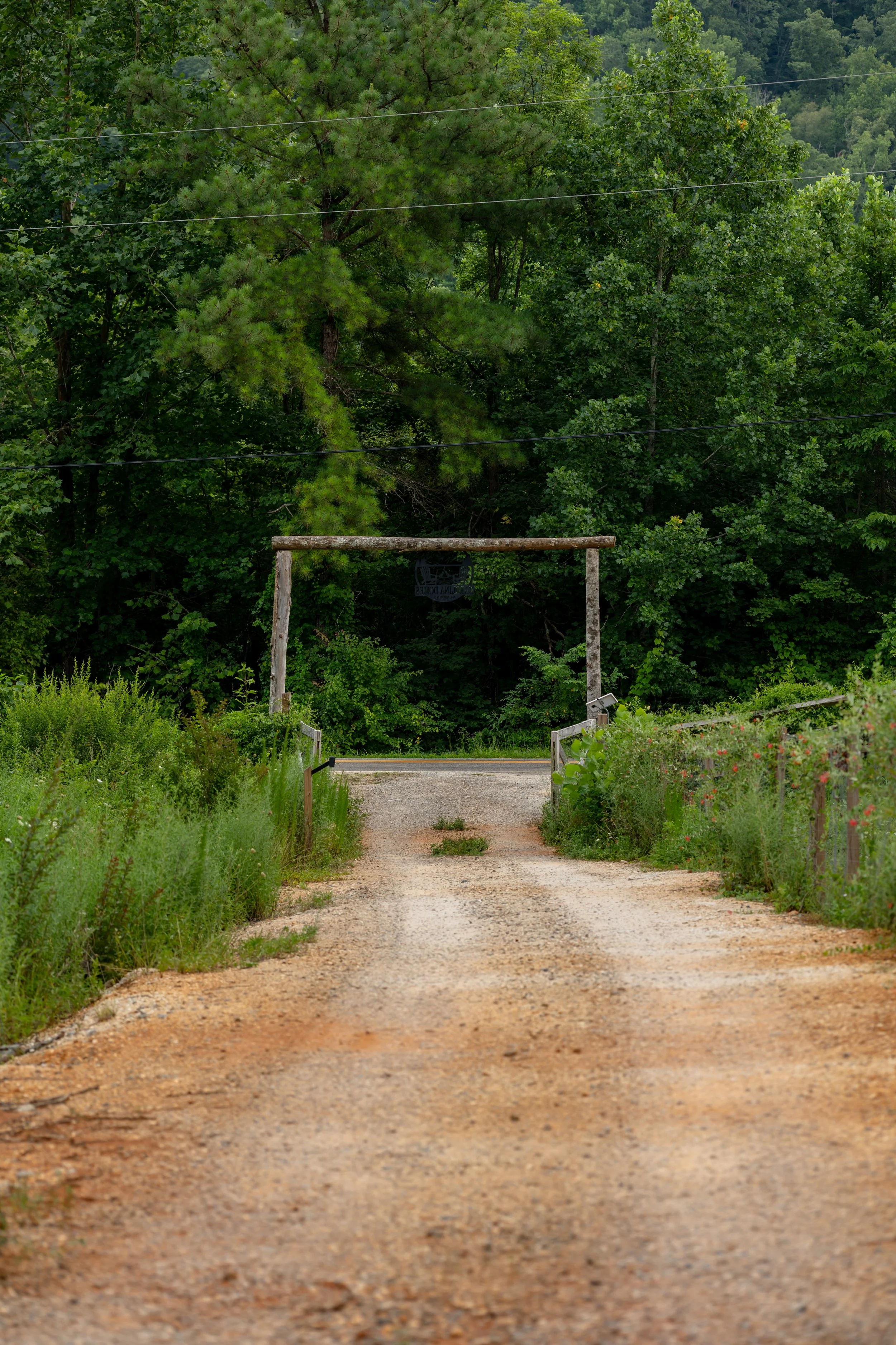 A dirt country road leading to a wooden gate with greenery on both sides and dense trees in the background.