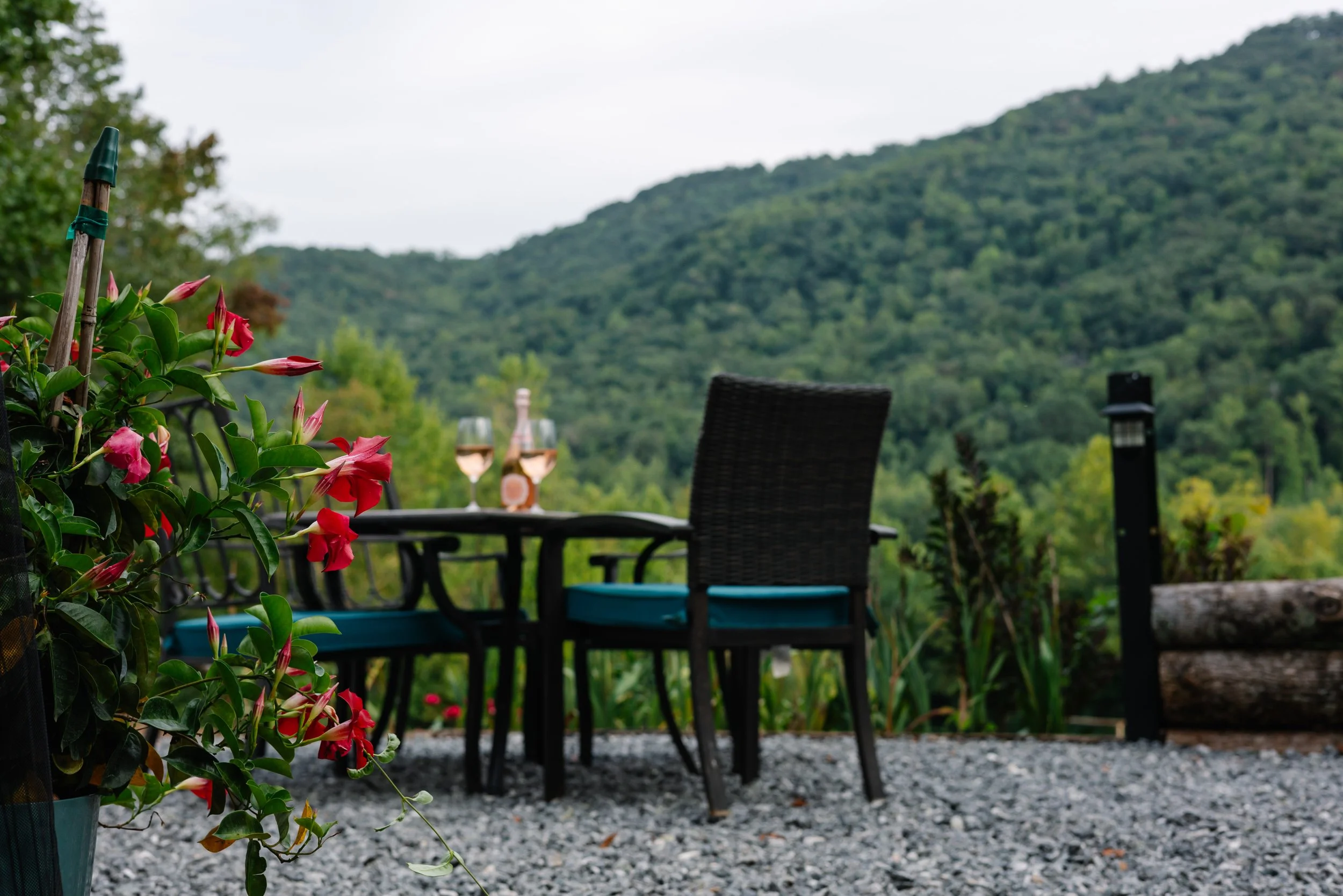 Outdoor patio with a black table and chair set, pink flowers on the left, two glasses of rose wine, and a scenic view of green mountains and cloudy sky in the background.