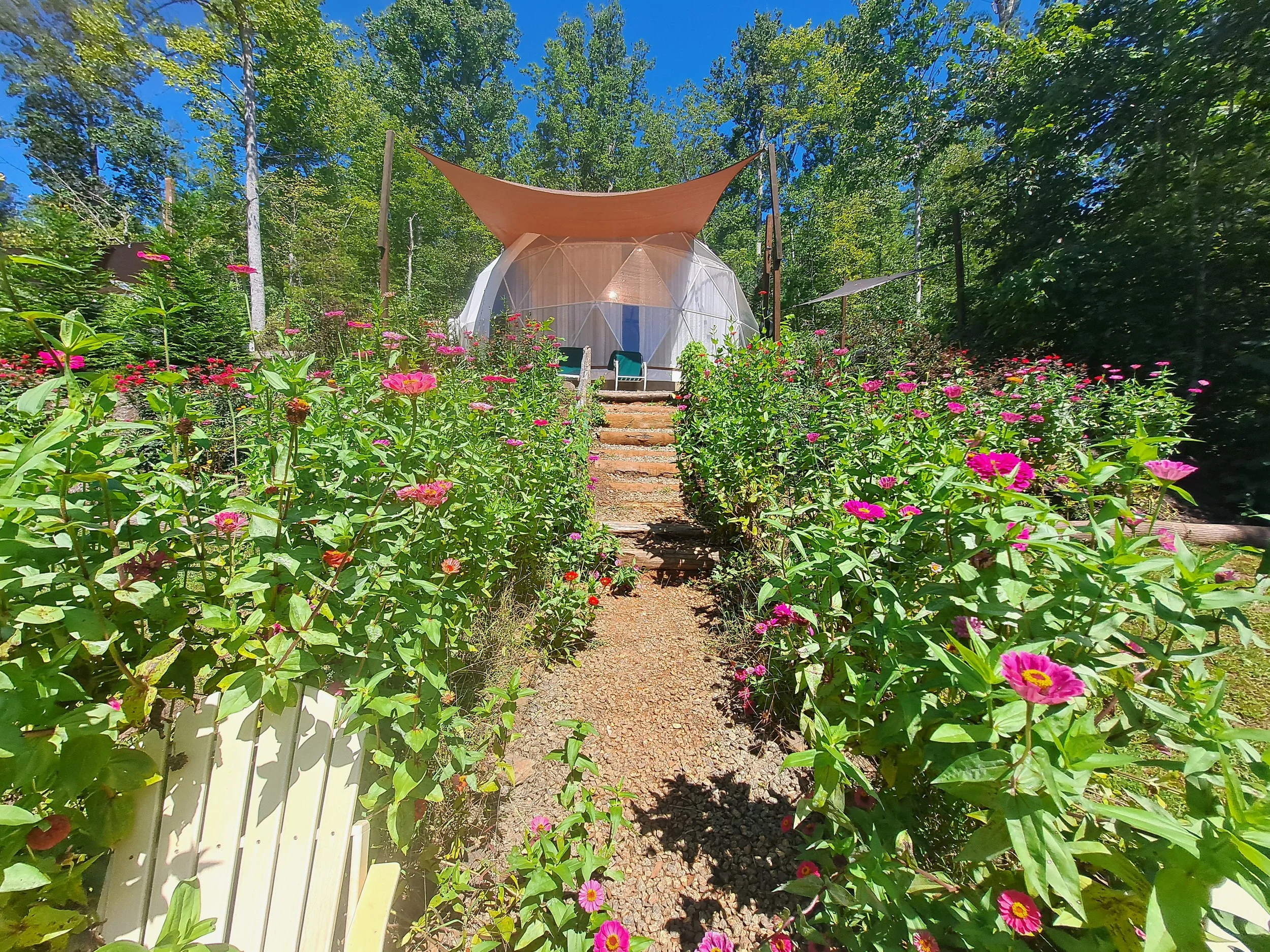 A dome-shaped glamping tent surrounded by pink and purple flowers with a wooden staircase leading up to the entrance on a sunny day in a green wooded area.