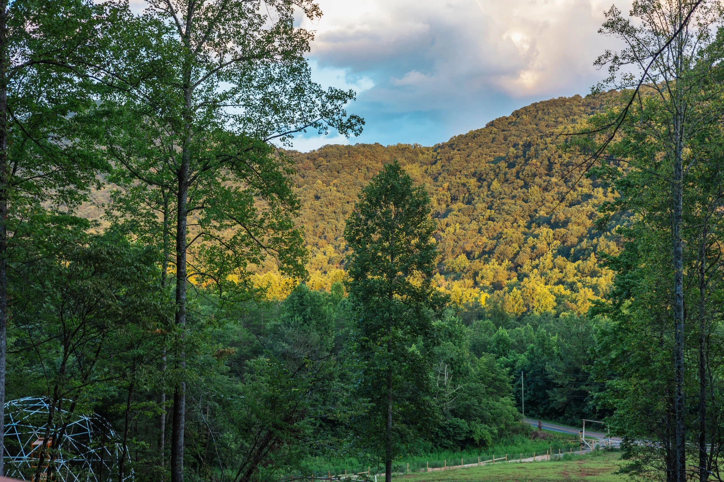 A scenic view of a lush green forest with trees on rolling hills and a partly cloudy sky.