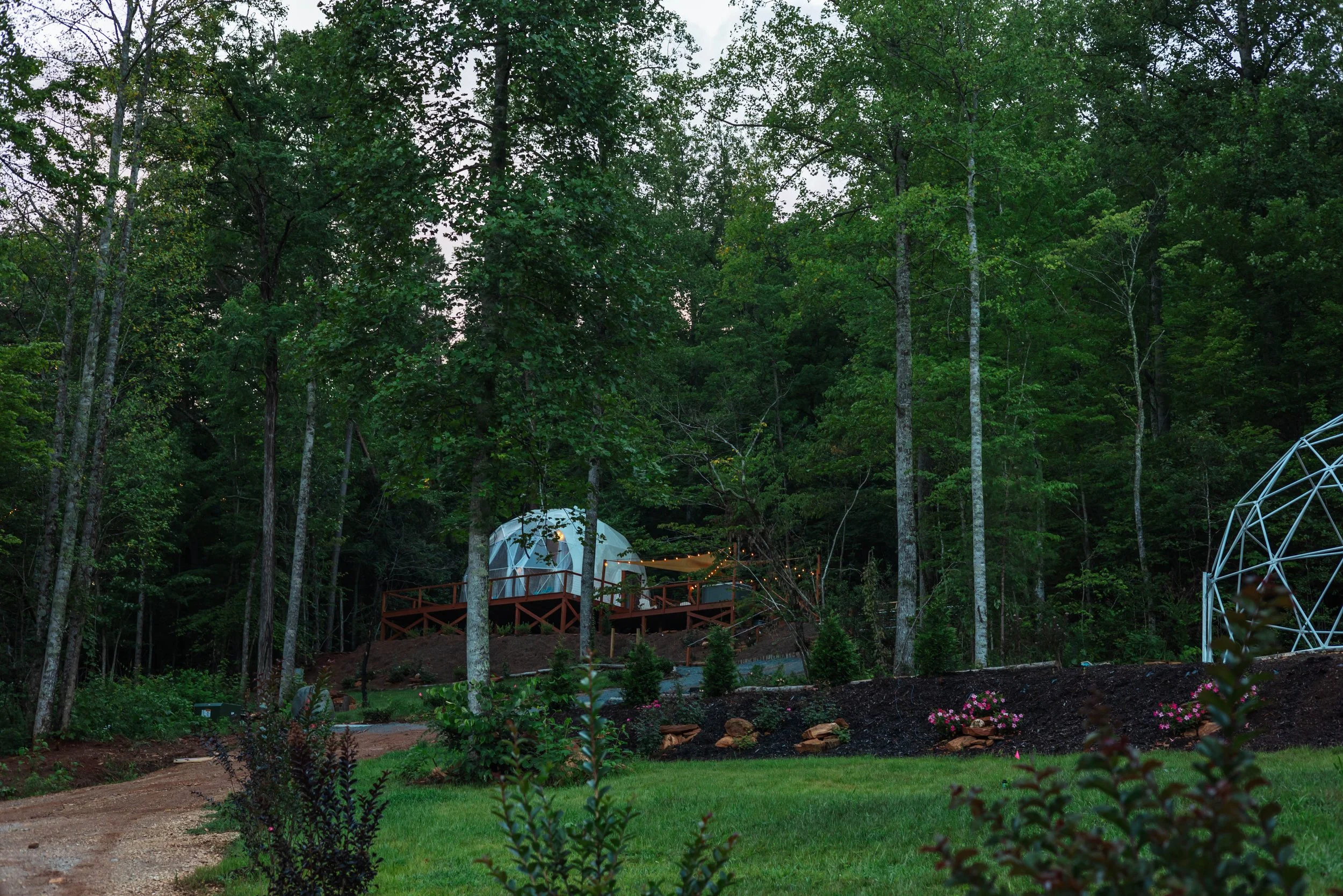 A wooded outdoor setting with a white dome-shaped tent and string lights on a raised deck, surrounded by trees and a landscaped garden with flowering plants.