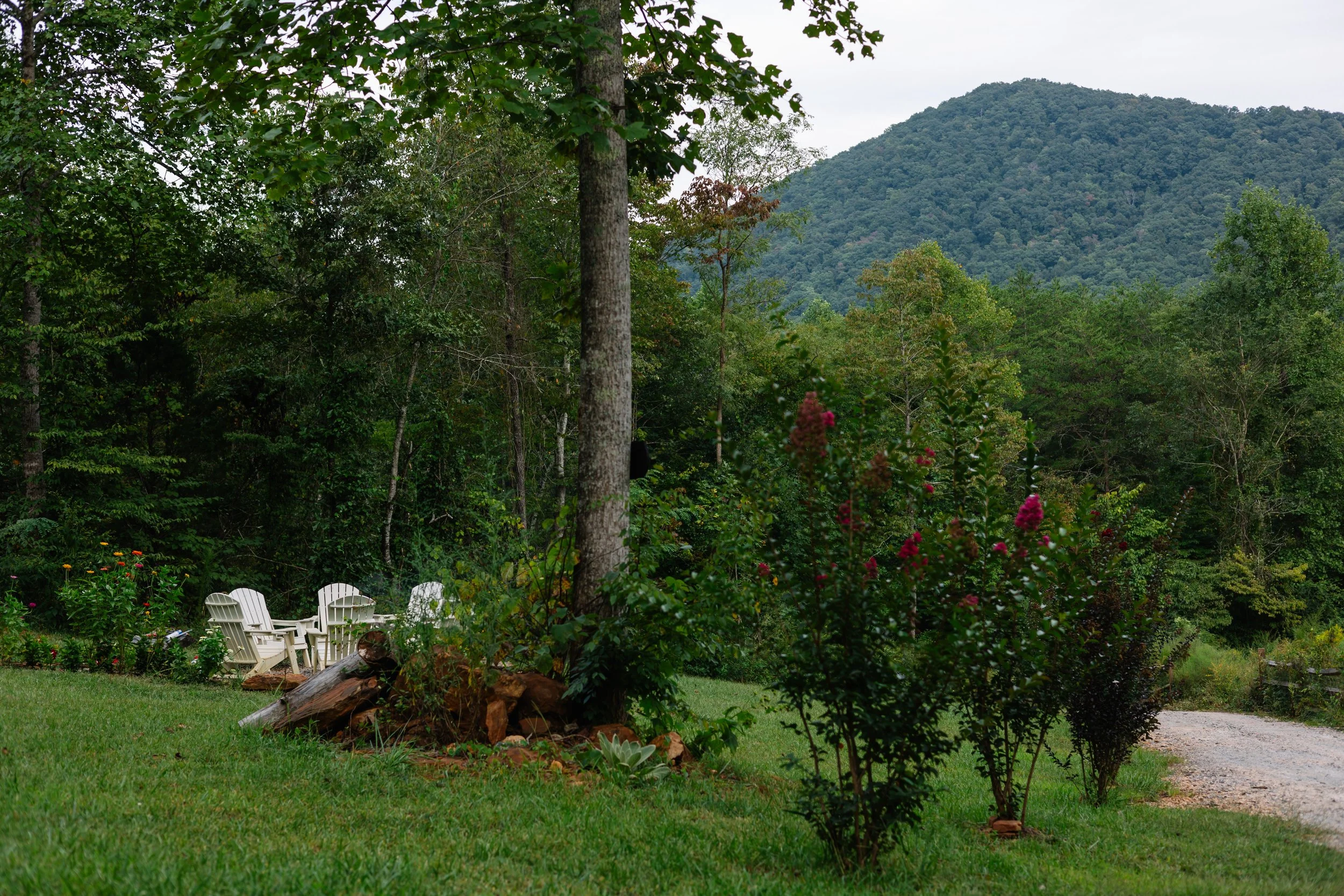 A garden area with white Adirondack chairs near trees and flowers, with a gravel path and a mountain in the background.