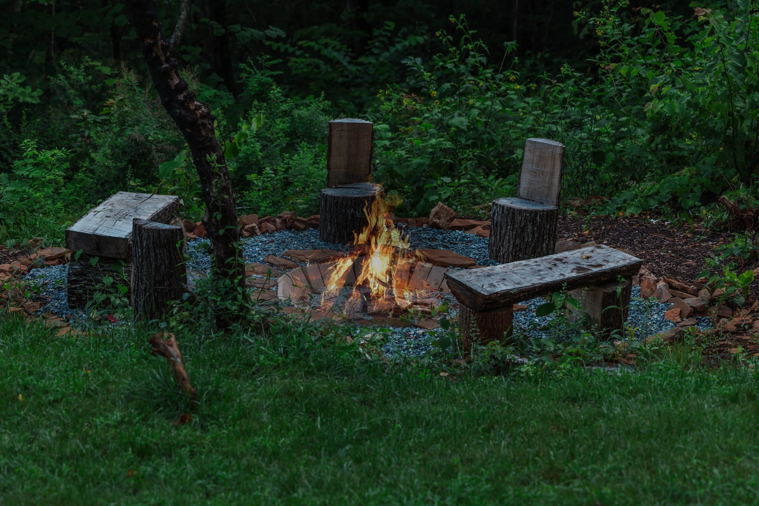 A fire pit with five wooden log seats arranged around it, situated in a lush, green outdoor area with trees and bushes in the background.