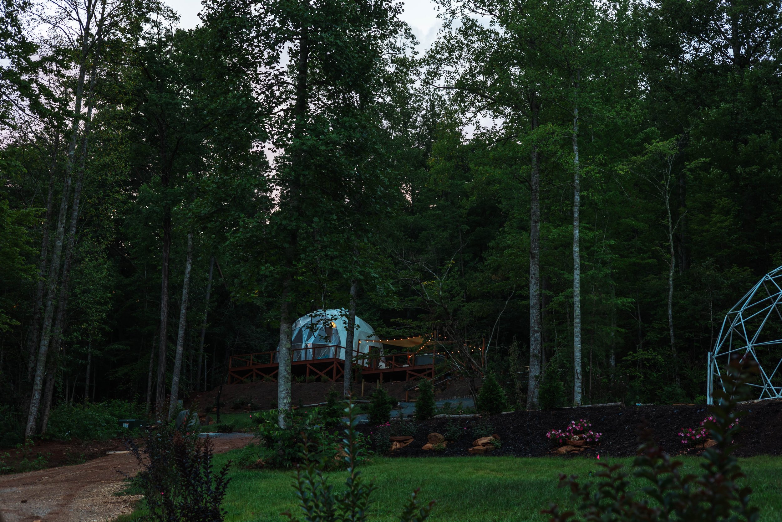 A wooded outdoor scene at dusk with a geodesic dome on a deck and string lights, surrounded by trees and plants.