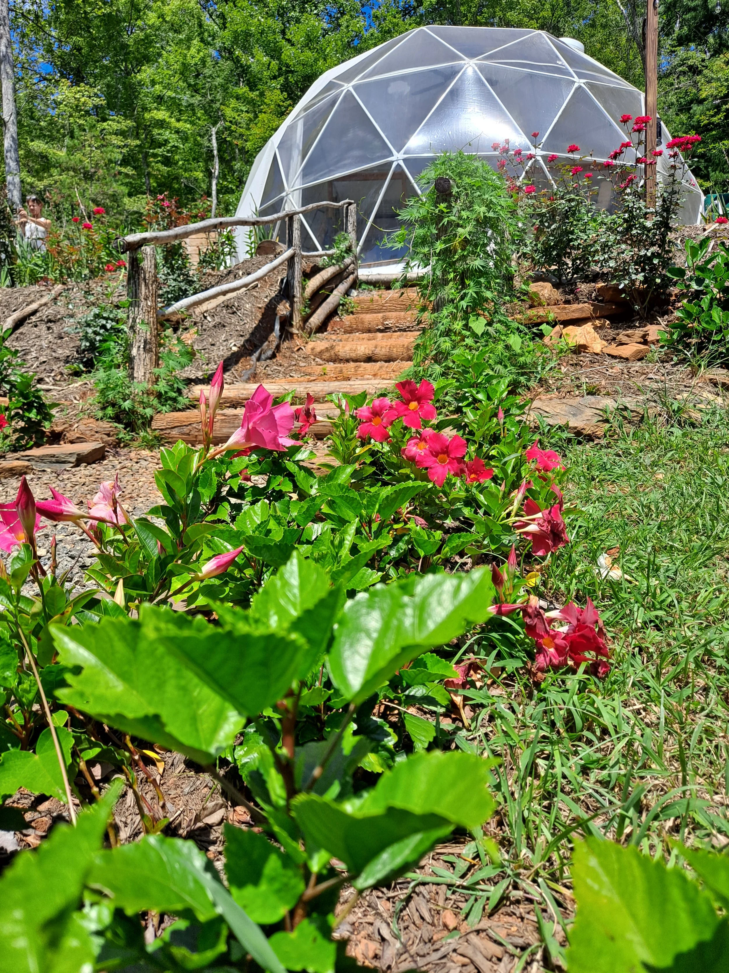 A greenhouse dome in a garden surrounded by pink and red flowers and green foliage, with a wooden pathway leading up to it.