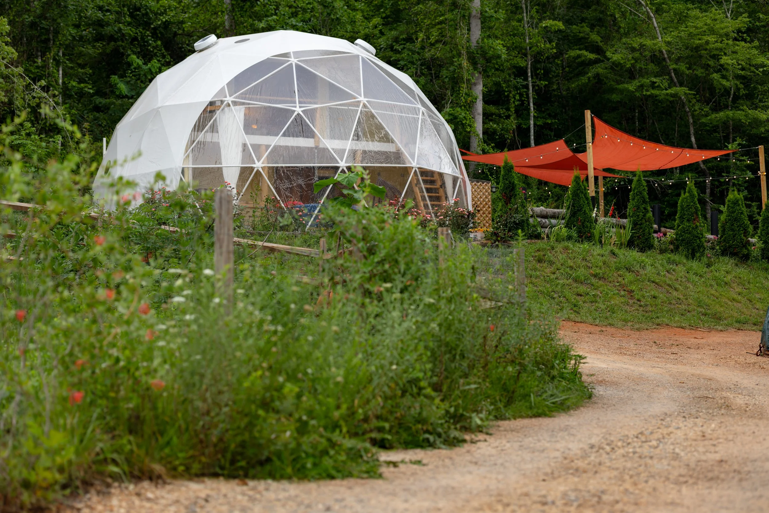 A geodesic dome greenhouse surrounded by greenery and flowers, with a gravel pathway. In the background, an orange shade sail is stretched between posts, and tall trees form a wooded backdrop.