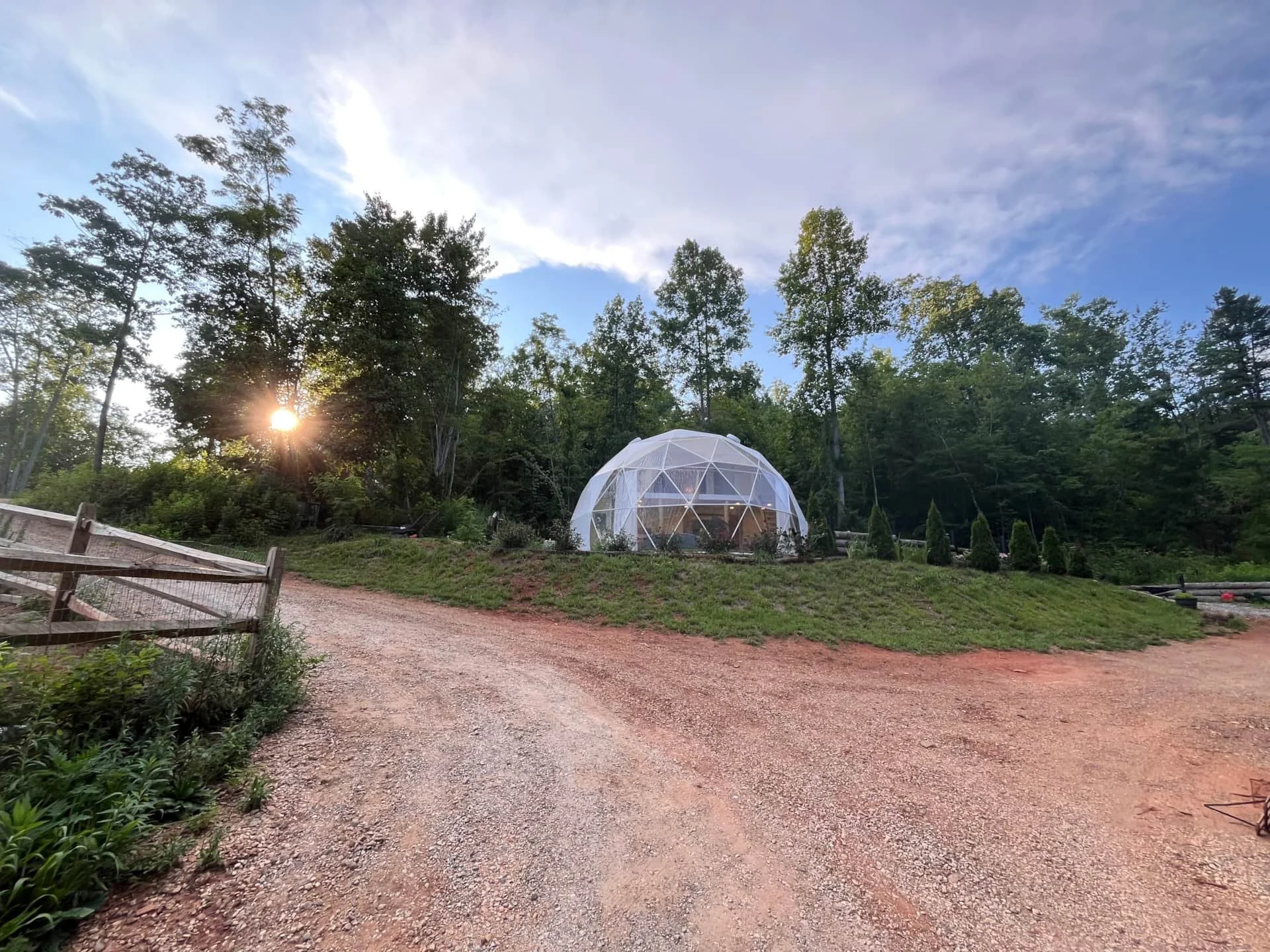 A geodesic dome structure in a grassy area with tall trees and a sunset sky.