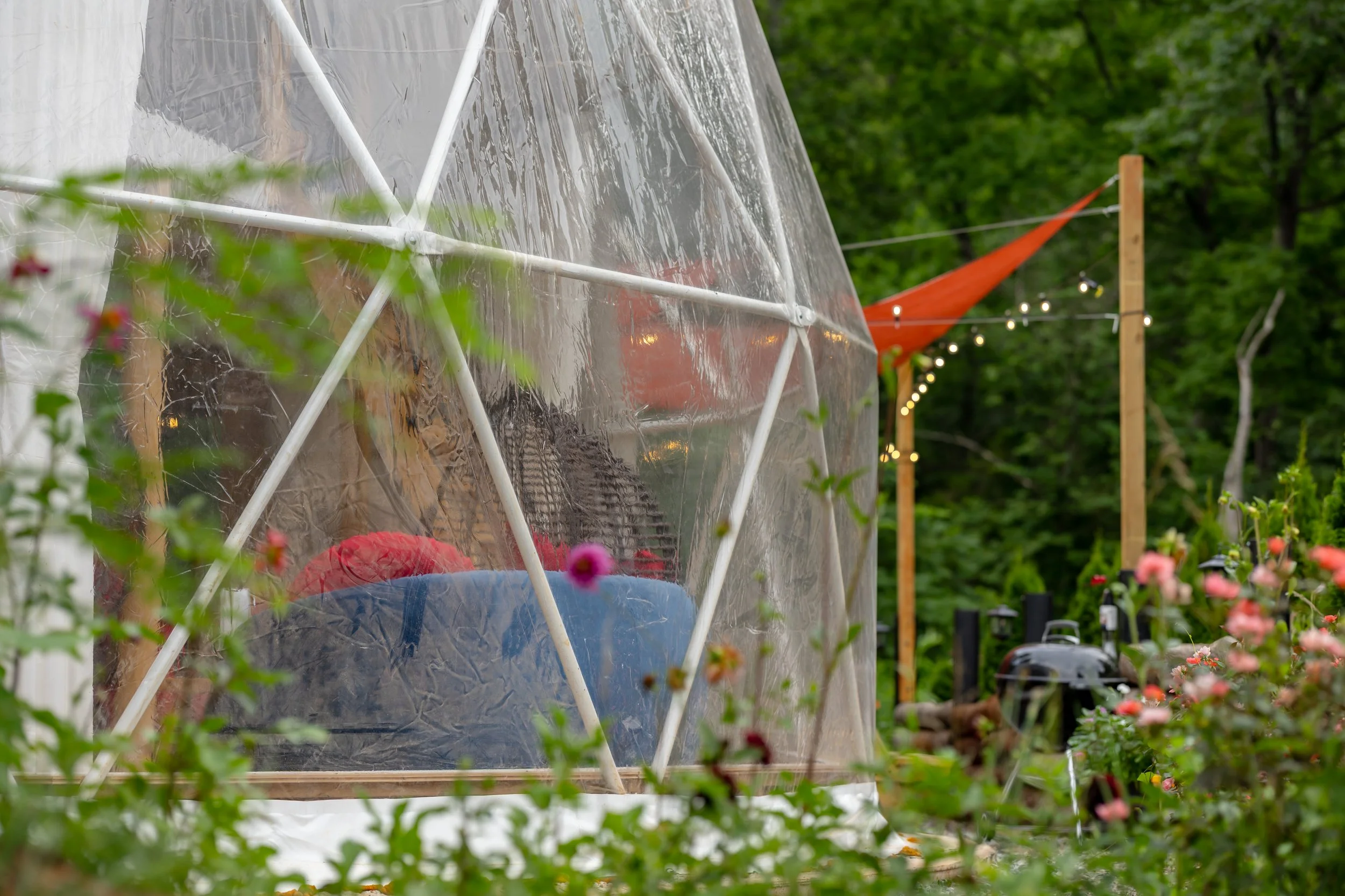 A backyard with a small, round, transparent greenhouse with a wooden base, surrounded by bushes and pink flowers. Inside the greenhouse, there are colorful blankets or cushions. In the background, there are string lights, an orange shade sail, trees,