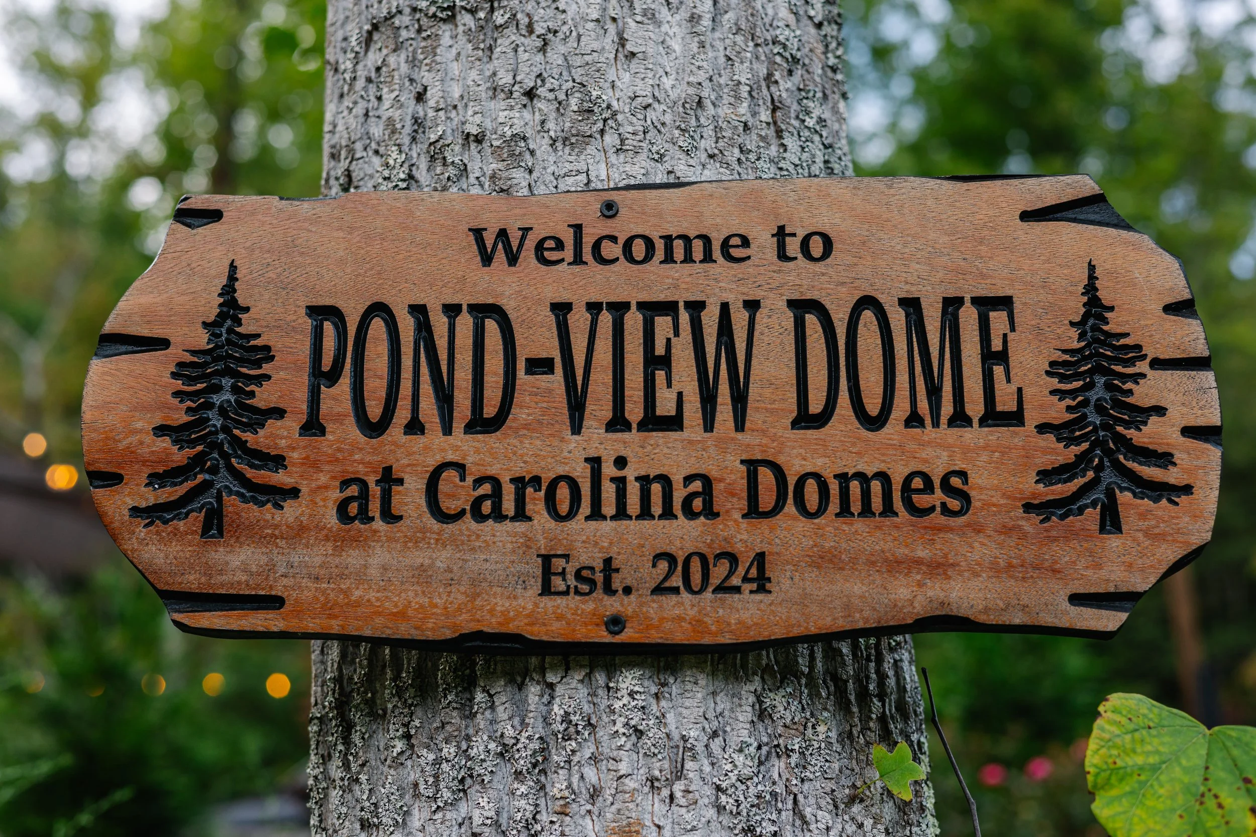 Wooden welcome sign for Pond-View Dome at Carolina Dames, established 2024, attached to a tree with green foliage in the background.