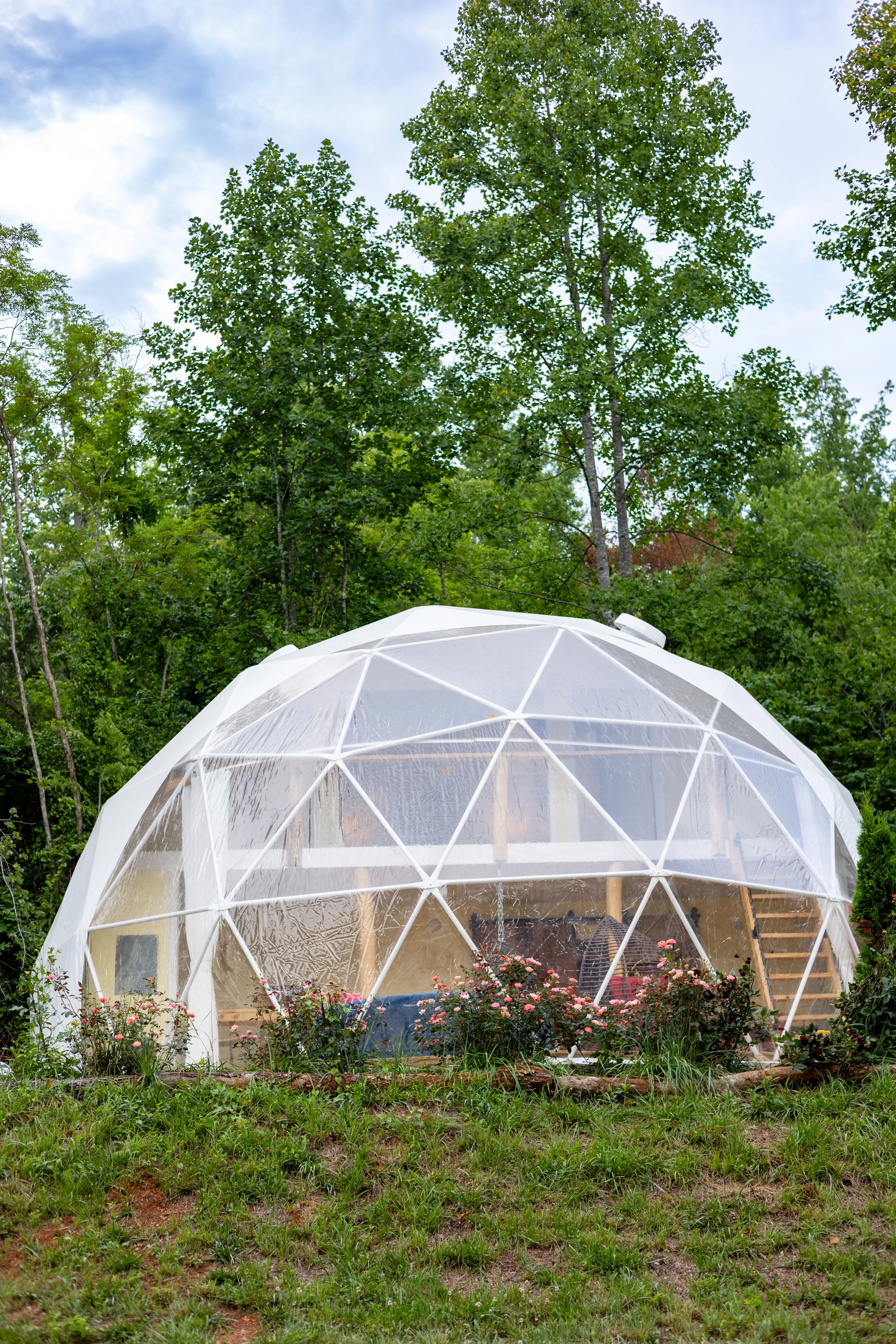 A geodesic dome greenhouse with transparent panels in a lush green outdoor setting, surrounded by grass and flowering plants.