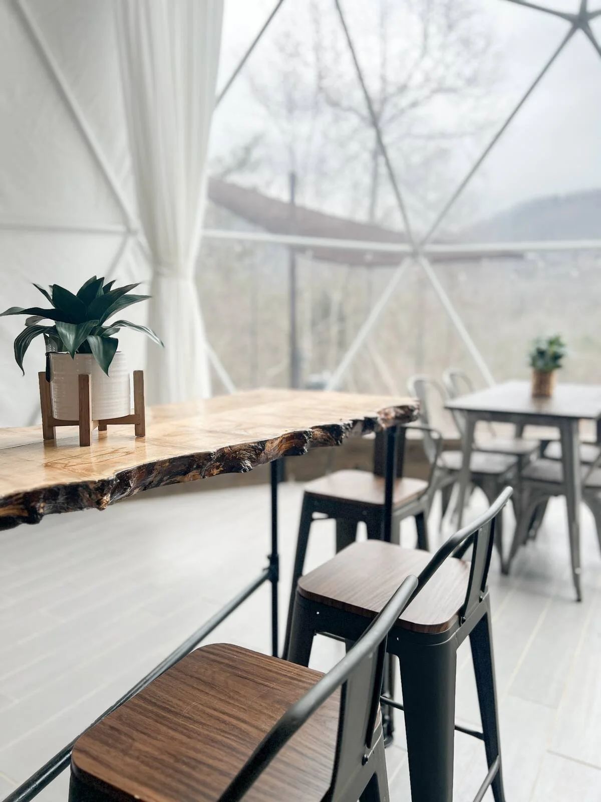 Interior of a bright lounge area with a wooden table, metal and wooden chairs, and potted plants, with large windows showing trees outside.
