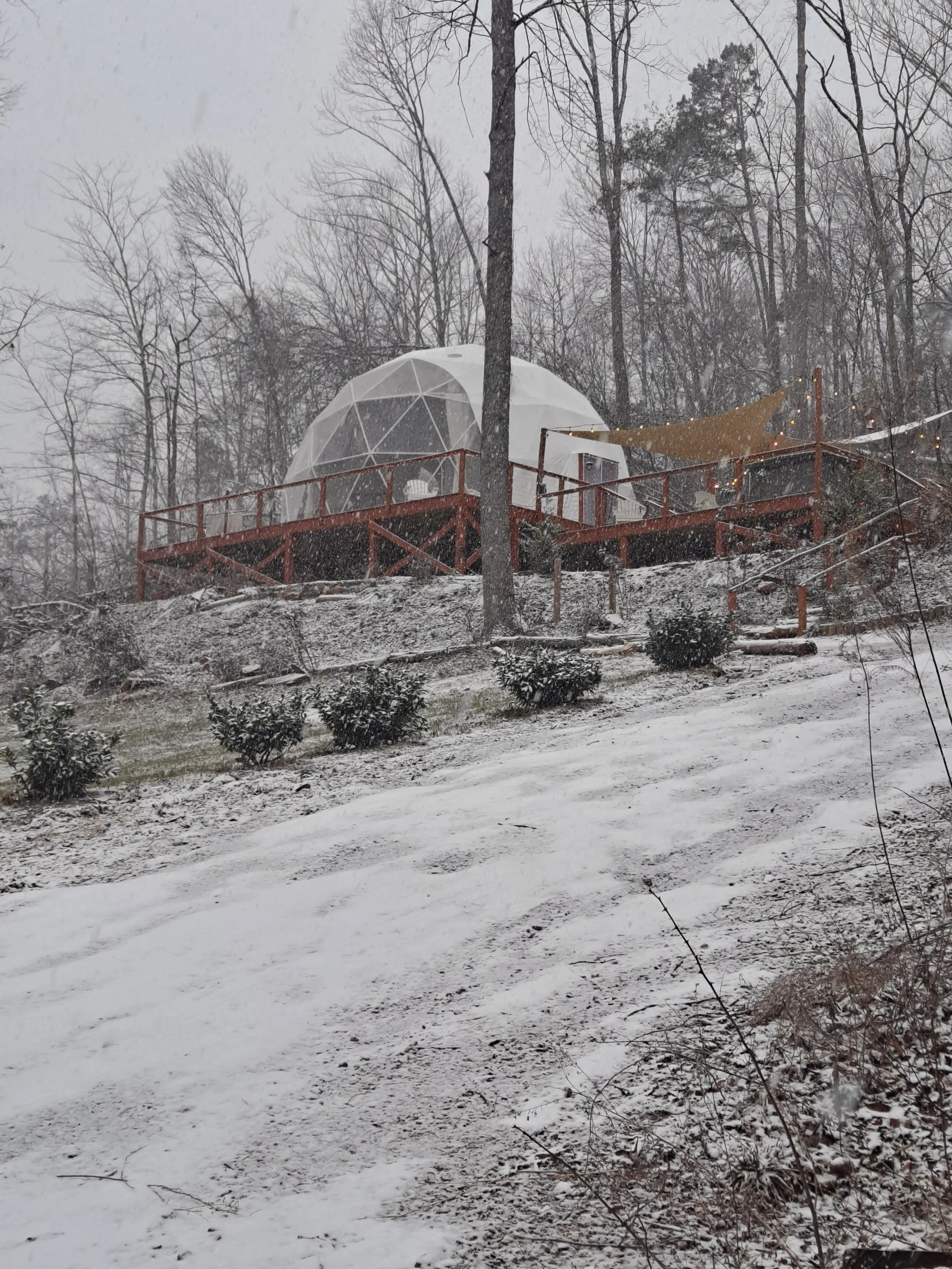 A snowy hillside with a wooden deck and a geodesic dome shelter. The deck has a brown fabric canopy and string lights, surrounded by bare trees and snow-covered shrubs.