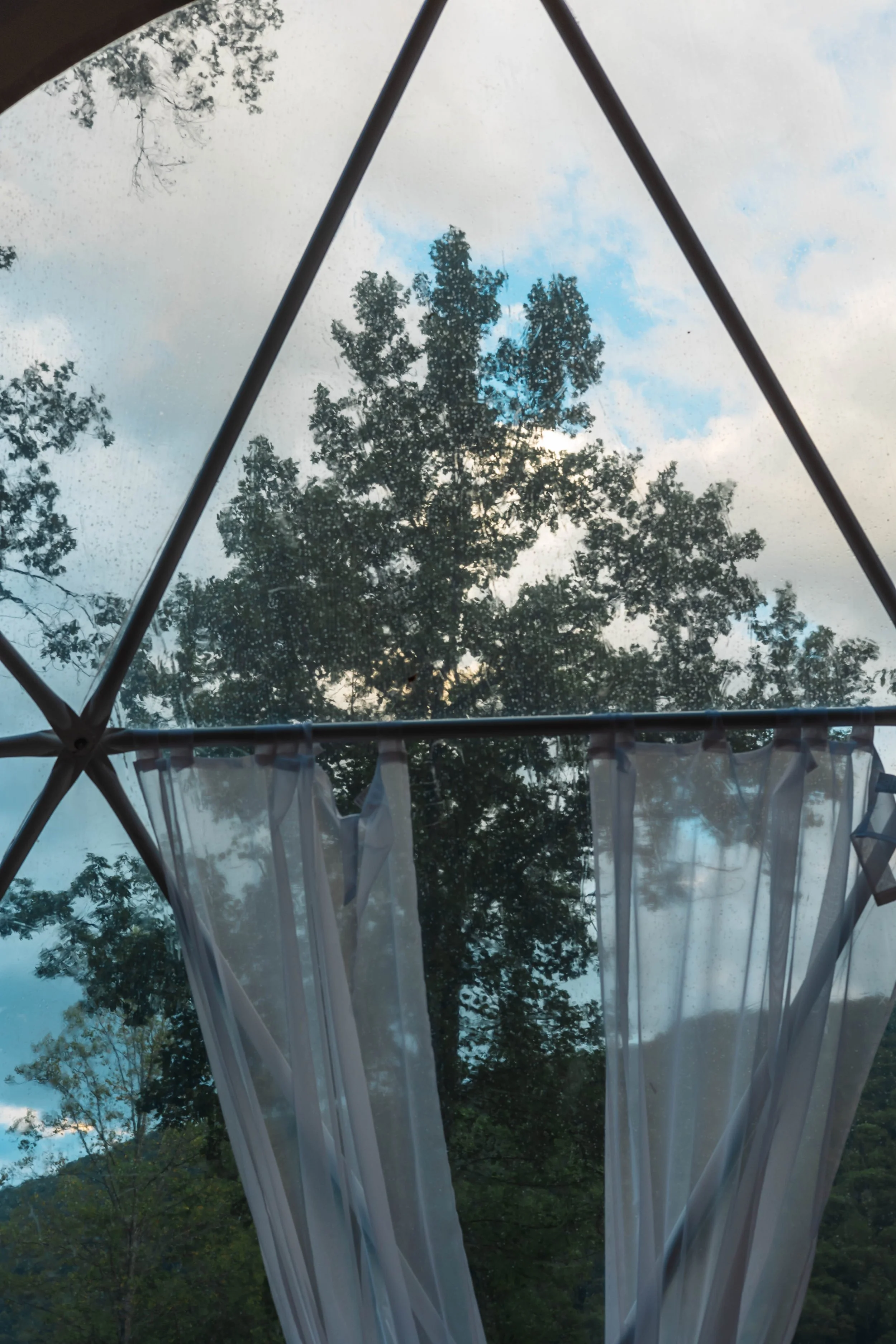 A view of trees and blue sky through a tent with transparent plastic sides and white curtains.