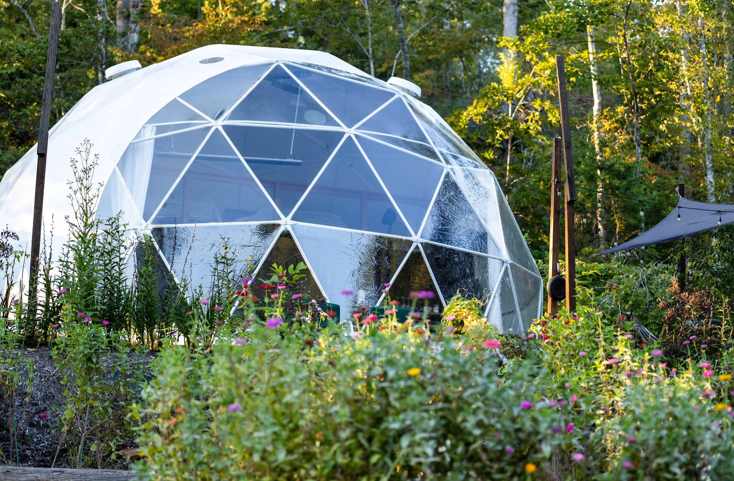 Geodesic dome greenhouse surrounded by plants and flowers in an outdoor garden with a wooded background.