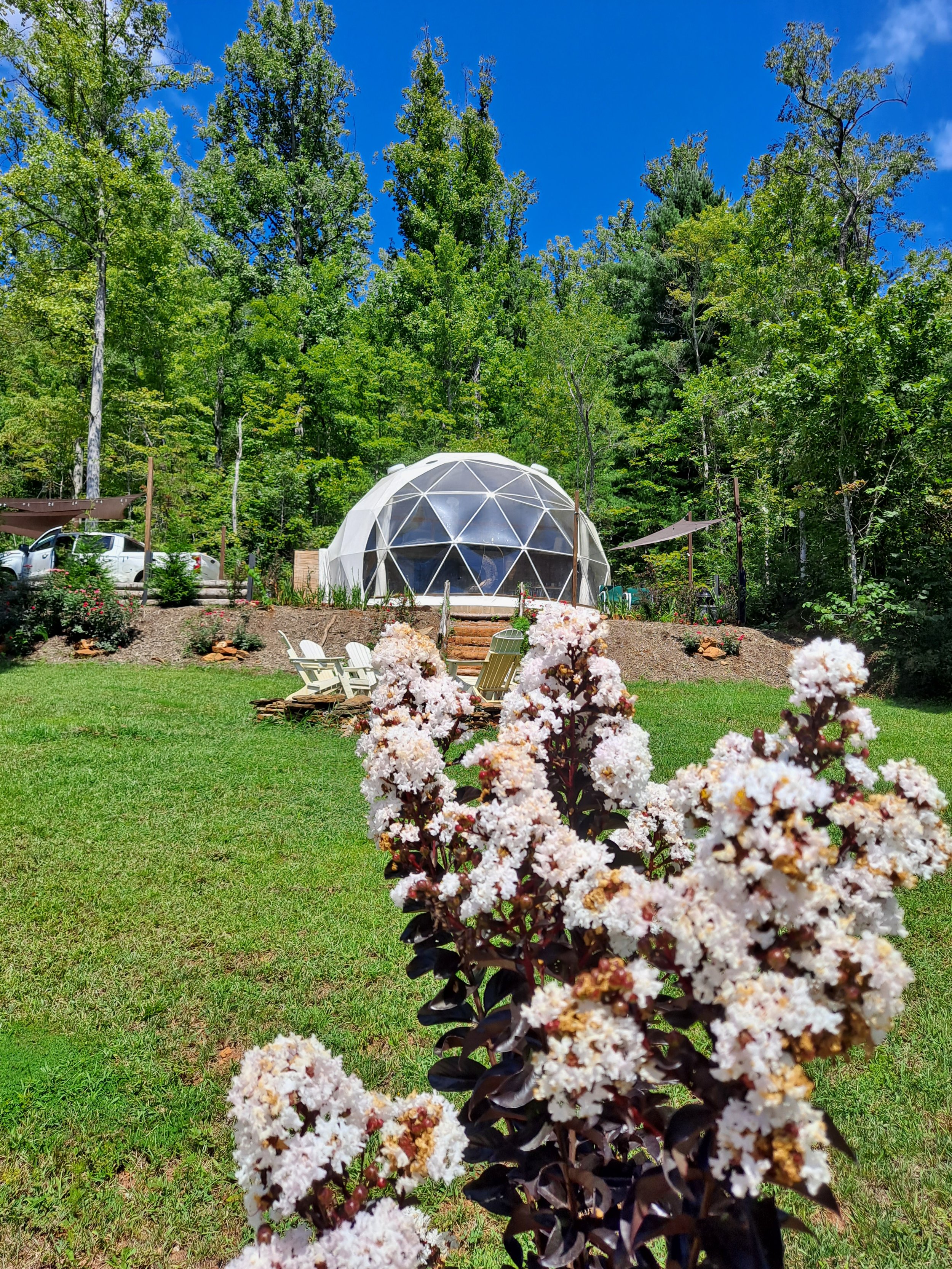 A large garden with a geodesic dome structure in the background, surrounded by tall green trees and a clear blue sky. In the foreground, there are white flowering plants and a grassy lawn, with Adirondack chairs placed on a small patio area near the 