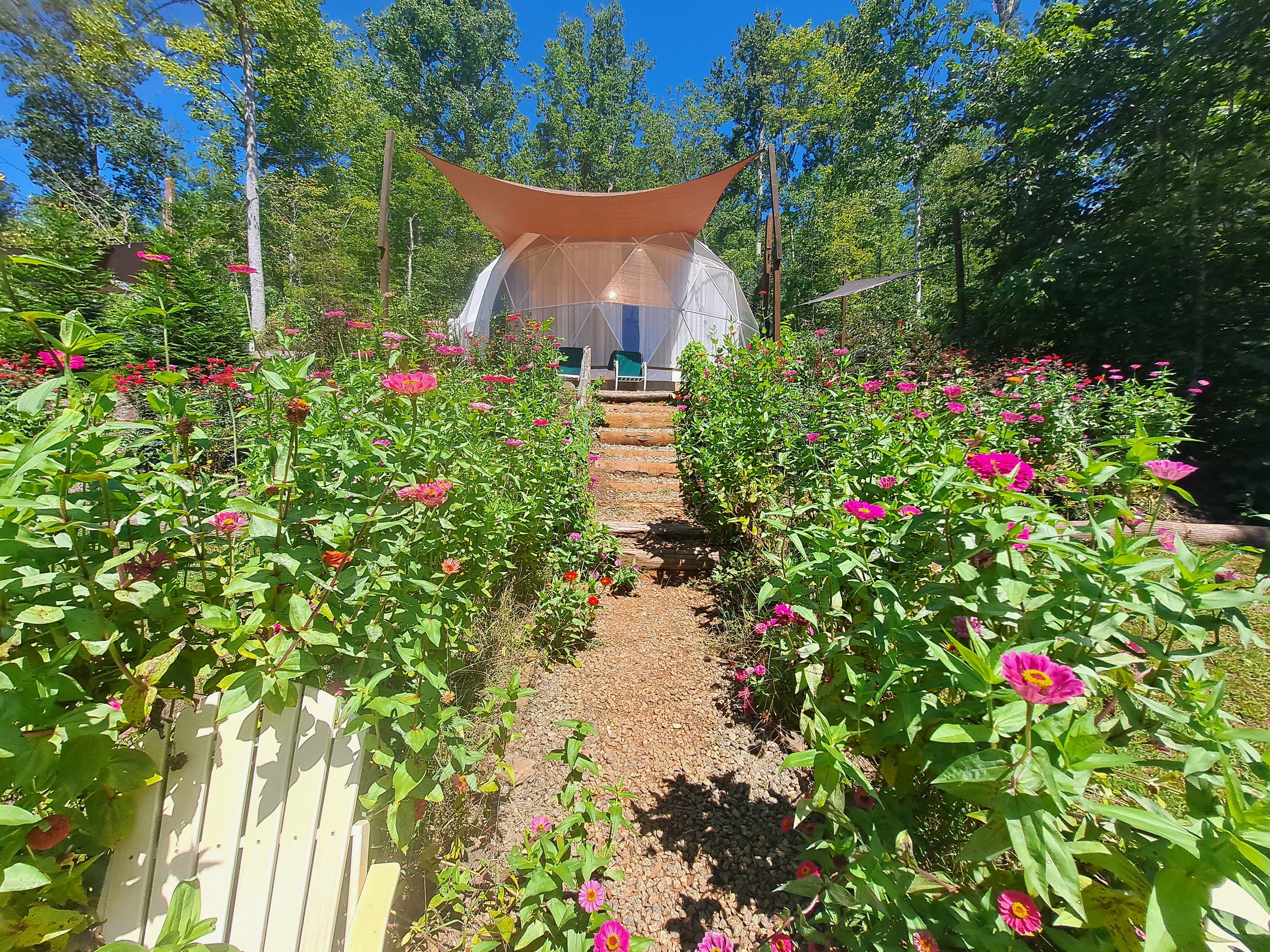 A garden pathway lined with pink and purple flowers leading to a dome-shaped glamping tent with wooden steps and an orange canopy in a wooded area under a blue sky.