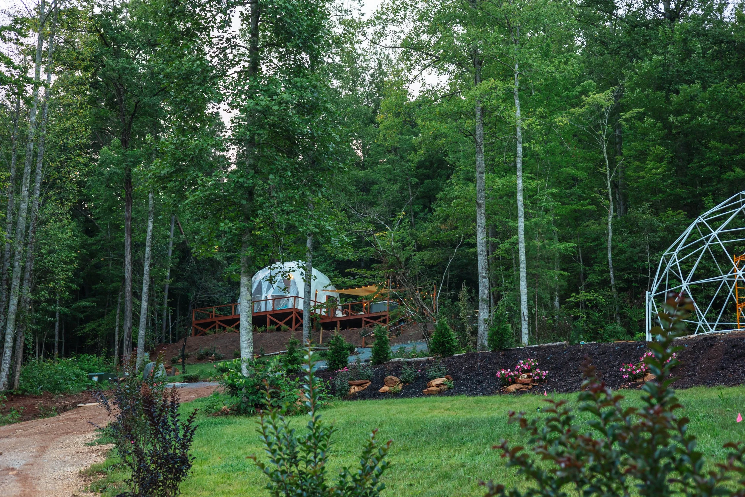 A lush, green garden with a dirt path, small shrubs, and a wooden deck with a white dome-shaped tent and string lights in the background of a forested area.