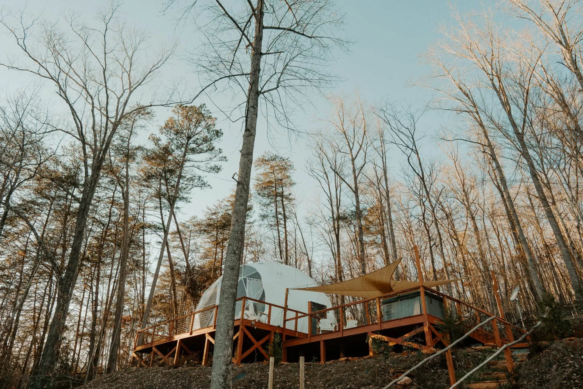 Treehouse built on a wooden deck in a forest with bare trees, under a clear sky.