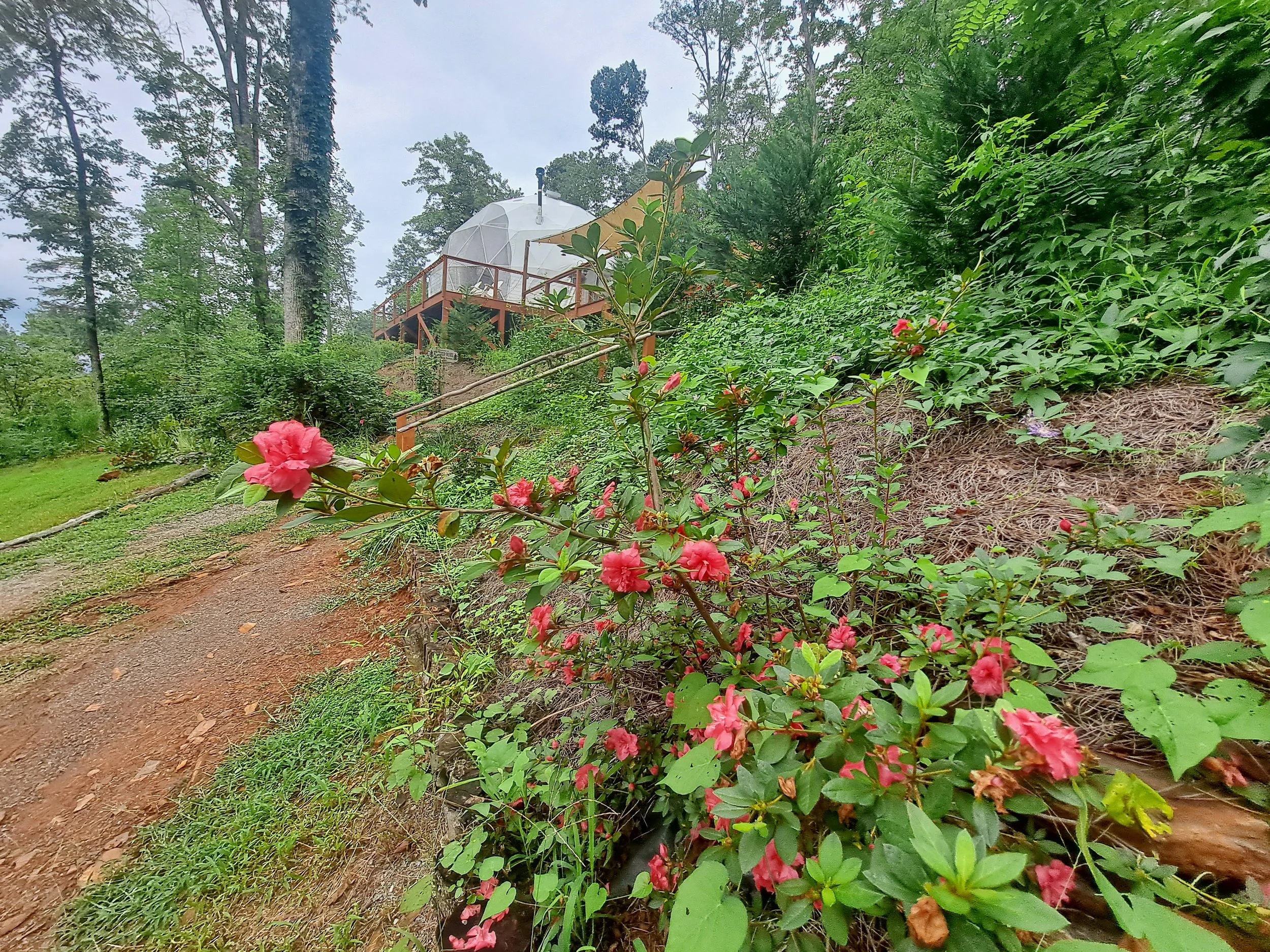 A raised deck with a white umbrella and a yellow canopy in a green wooded landscape, with pink flowers in the foreground and a dirt path on the left.