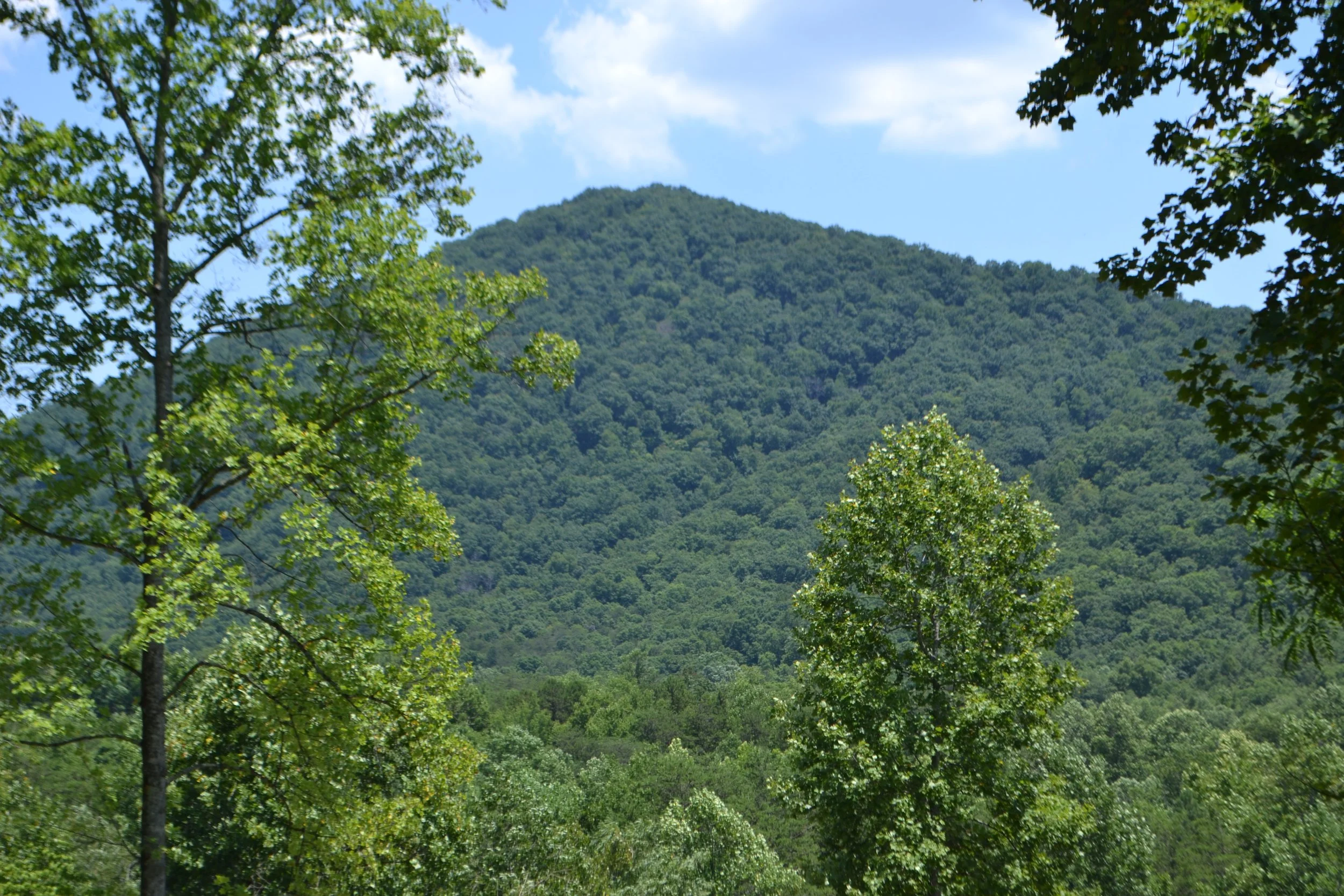 A scenic view of a green forested mountain with trees in the foreground, a partly cloudy sky, and lush greenery covering the mountain.
