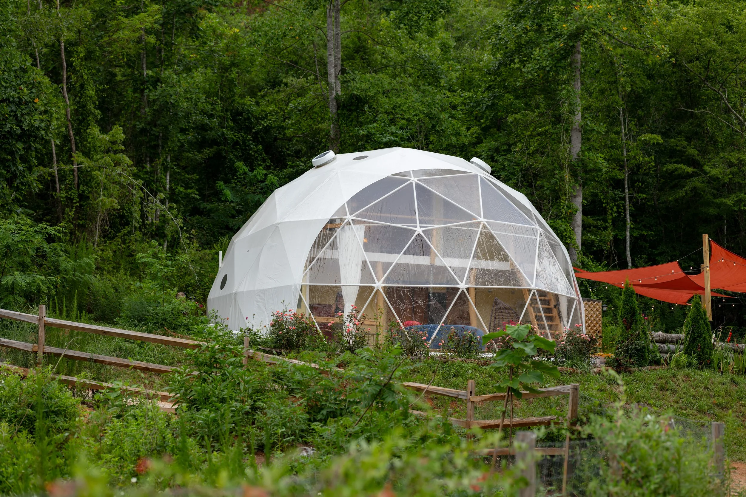 A transparent geodesic dome set in a lush green garden with trees in the background and a wooden fence in the foreground.