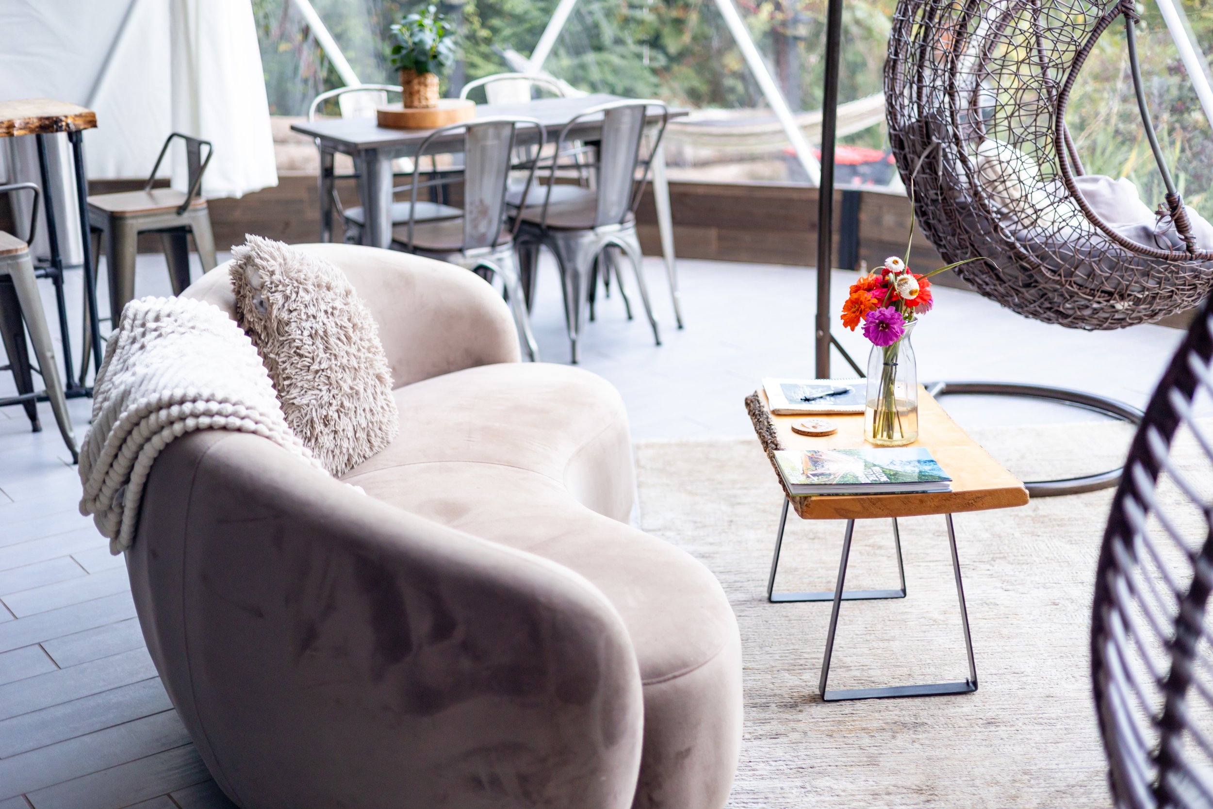 A cozy indoor living space with light-colored velvet sofa, fluffy pillows, a wooden side table with a glass vase of colorful flowers, and a hanging wicker chair. In the background, there is a dining area with a table, metal chairs, and potted plants,